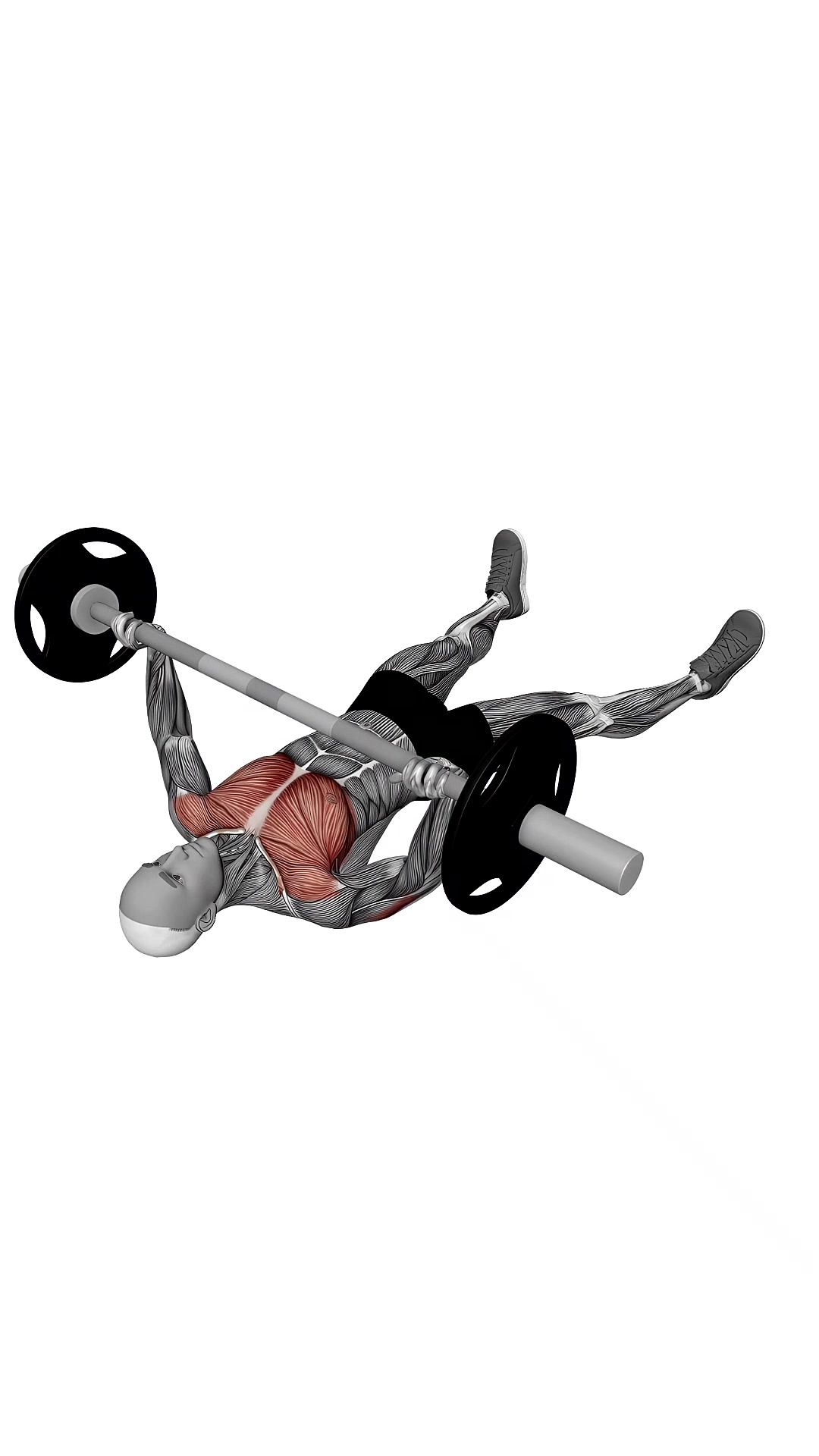 Barbell Floor Chest Press
