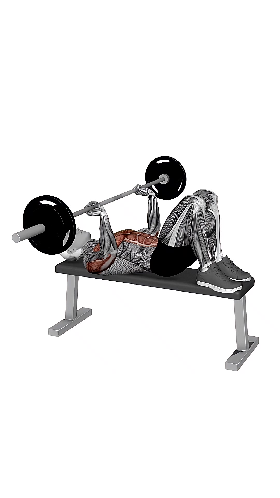 Barbell Hooklying Bench Press Close Elbows