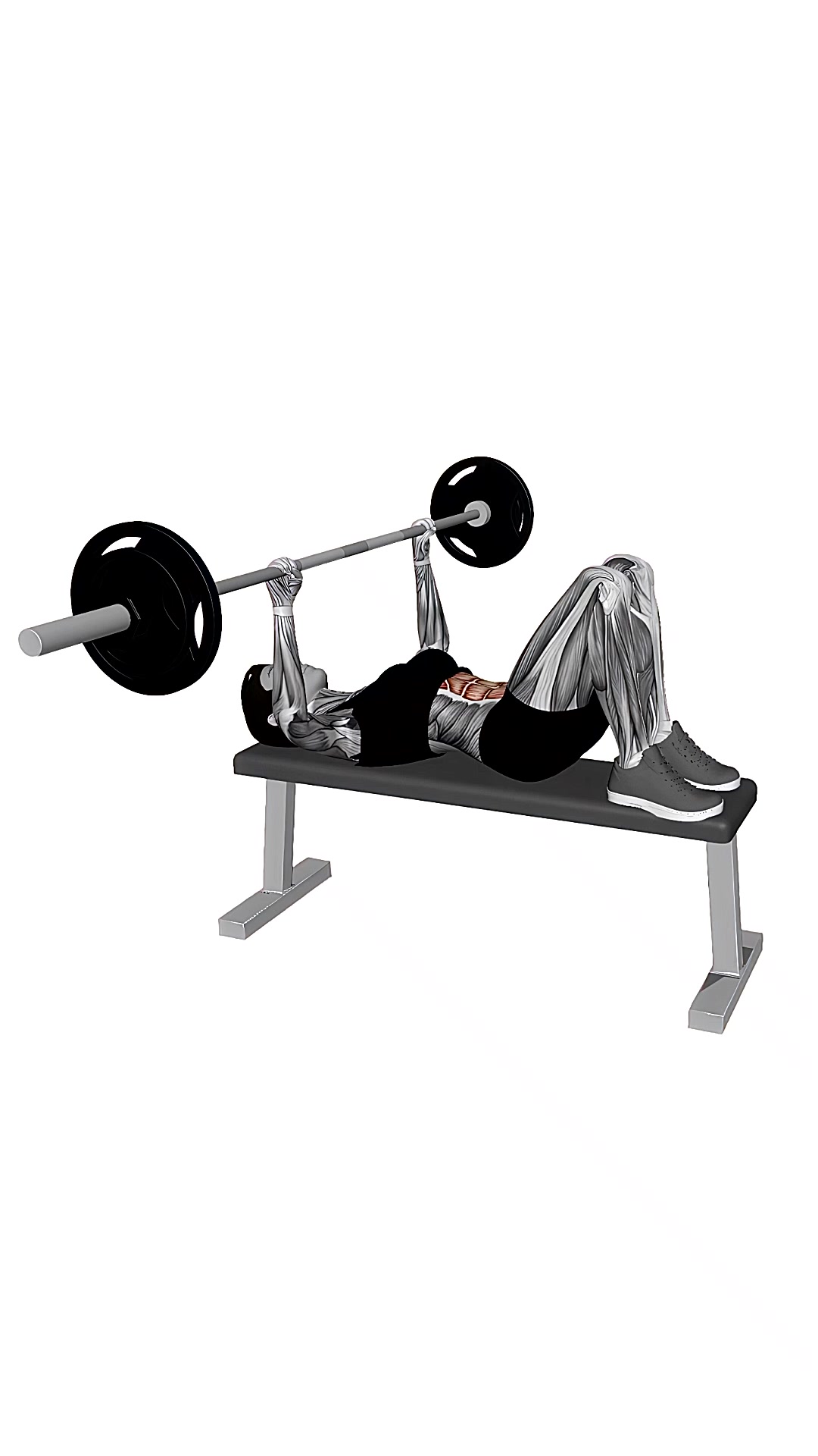 Barbell Hooklying Bench Press
