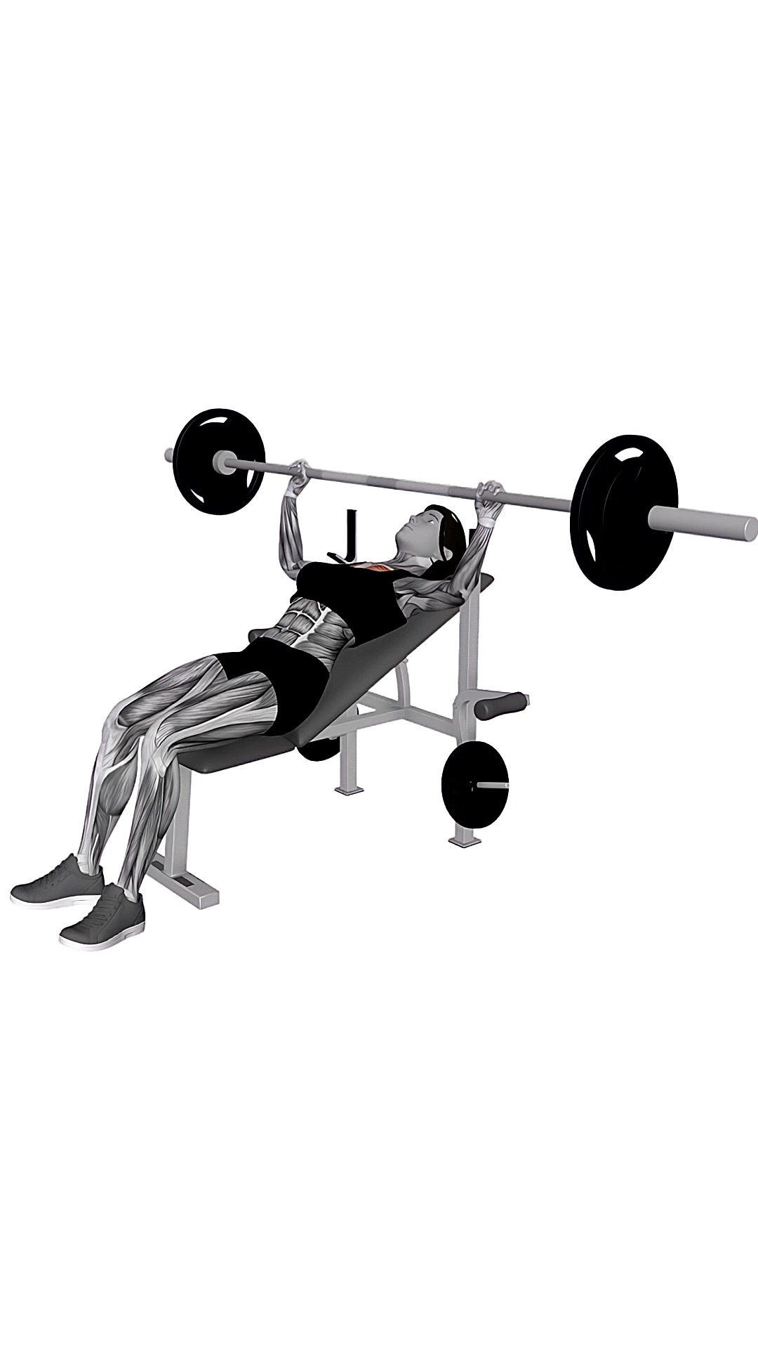 Barbell Inclined Bench Press