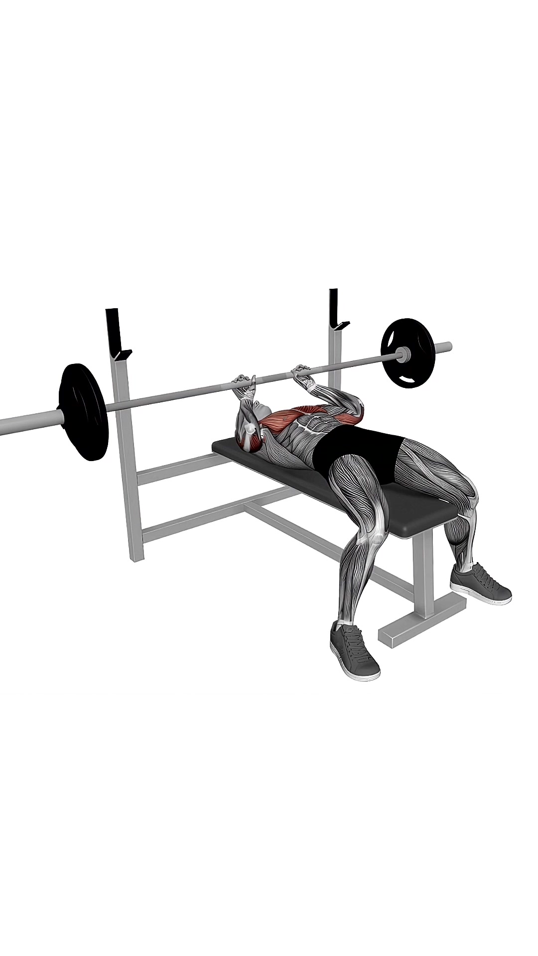 Barbell Jm Bench Press