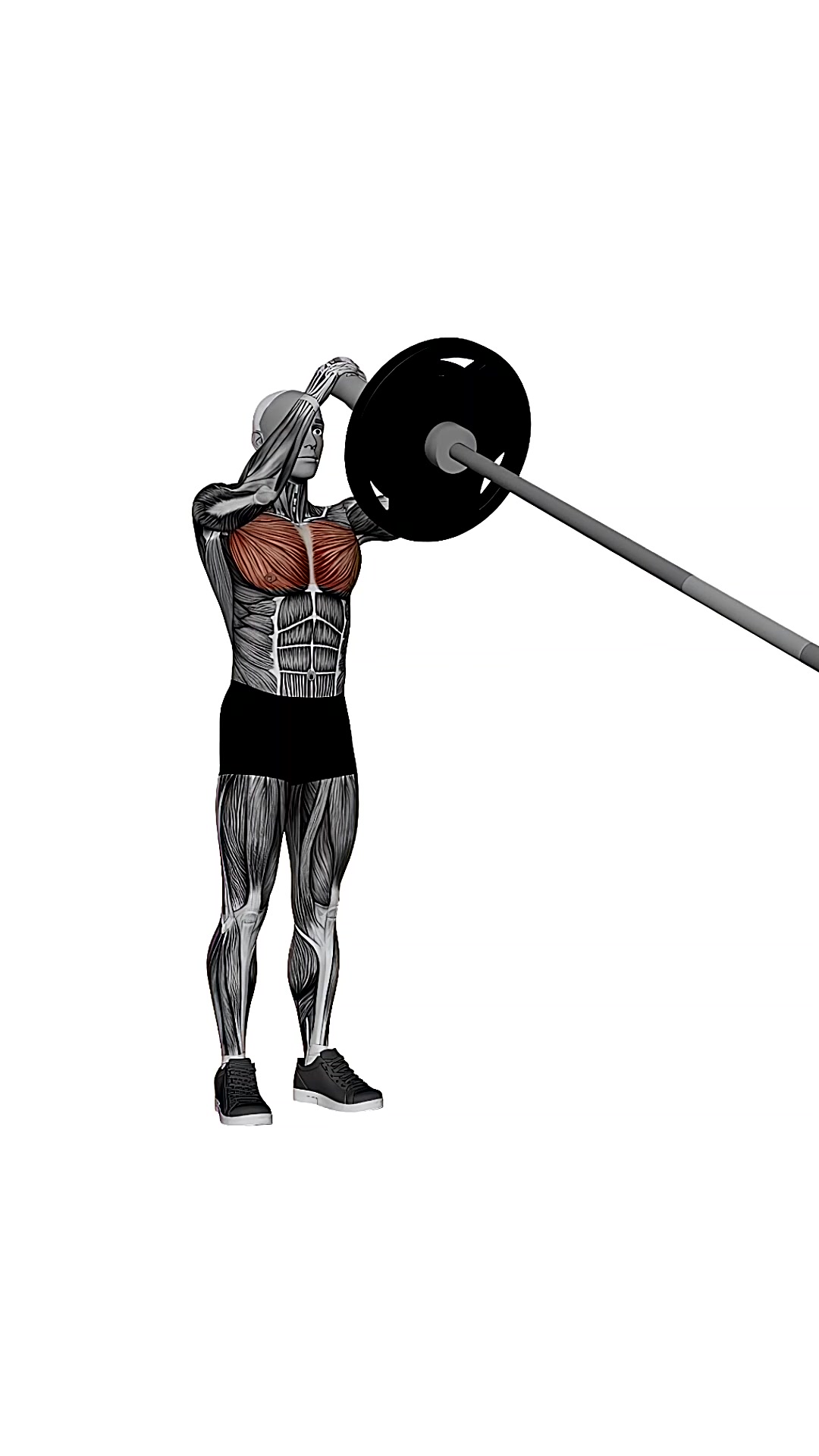 Barbell Landmine Chest Press