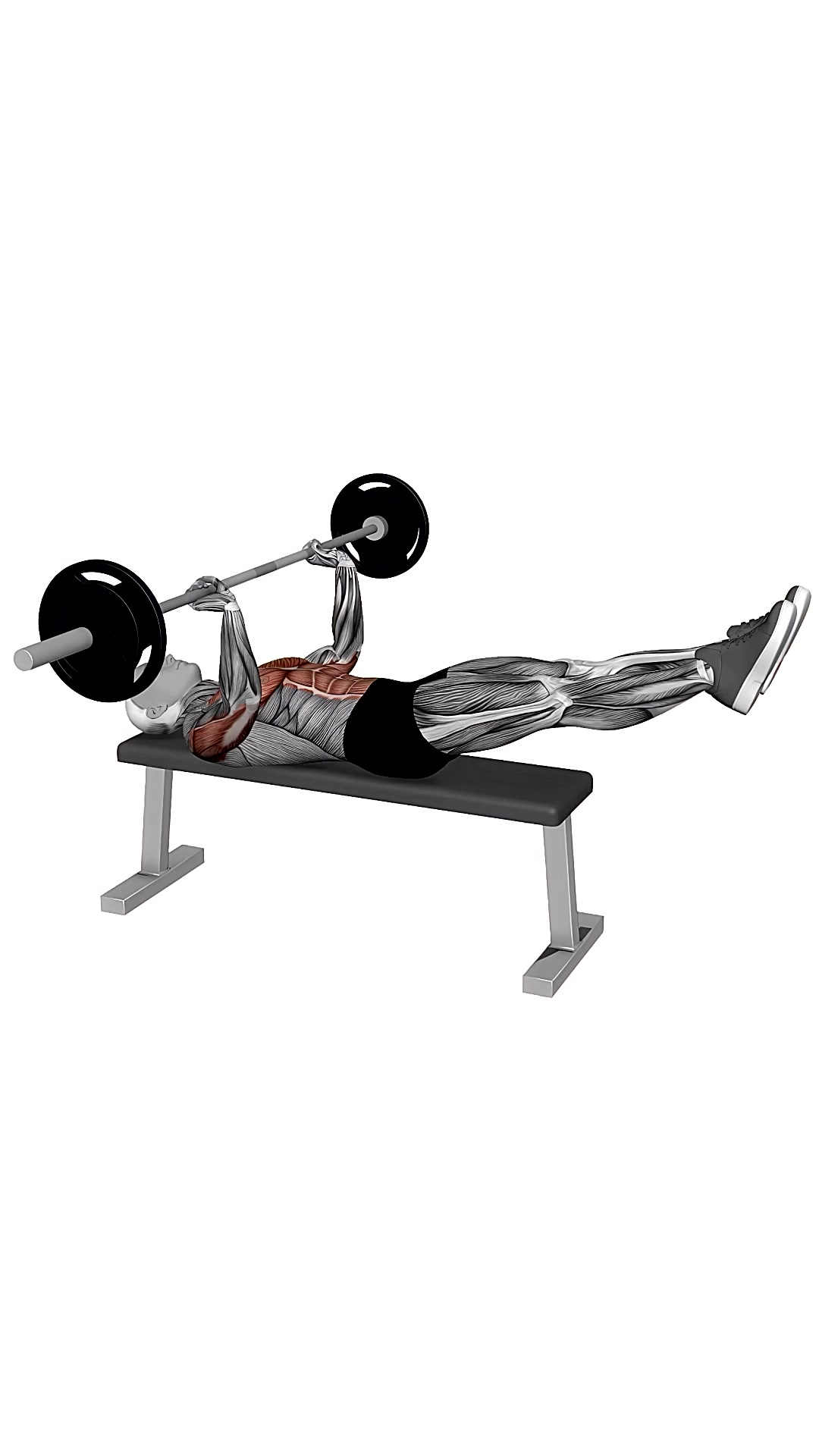 Barbell Larsen Bench Press