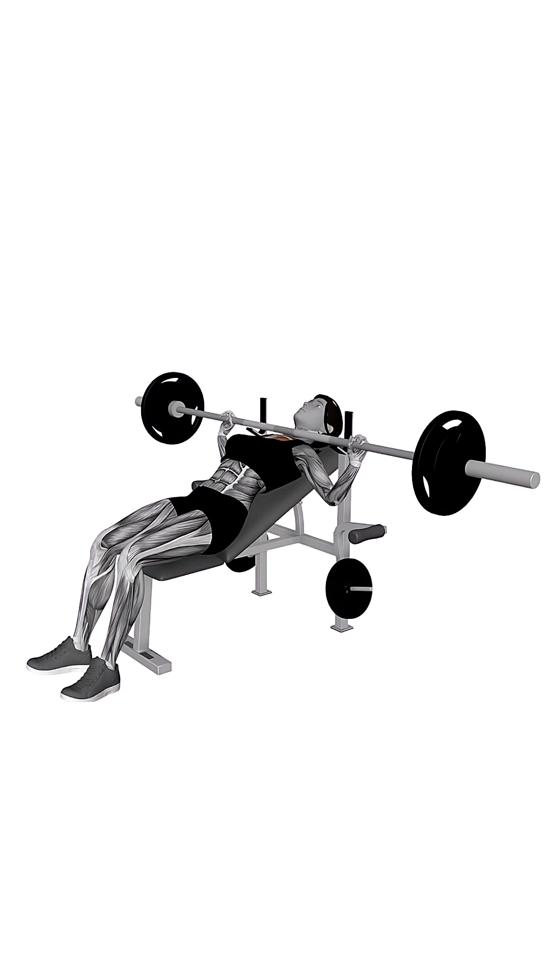 Barbell Pause Incline Bench Press
