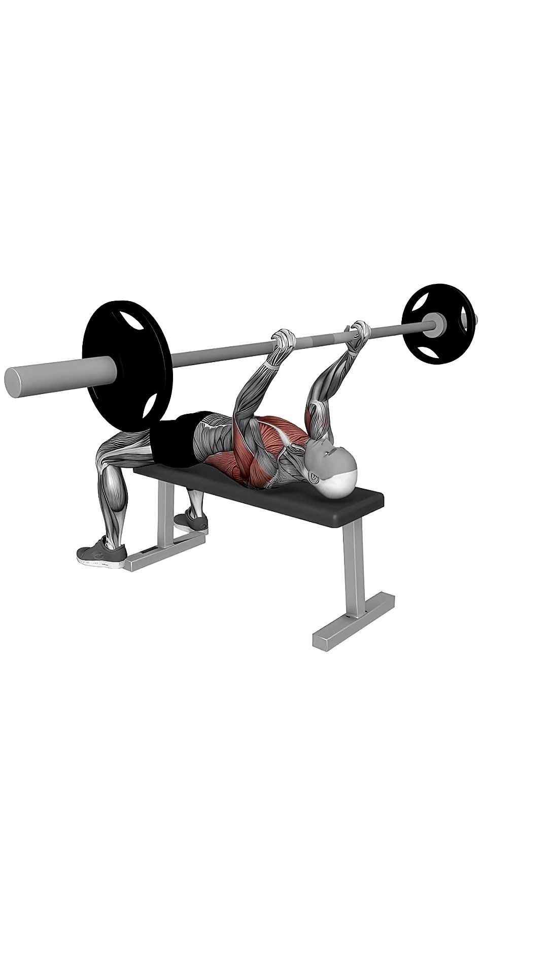 Barbell Pullover To Triceps Extension