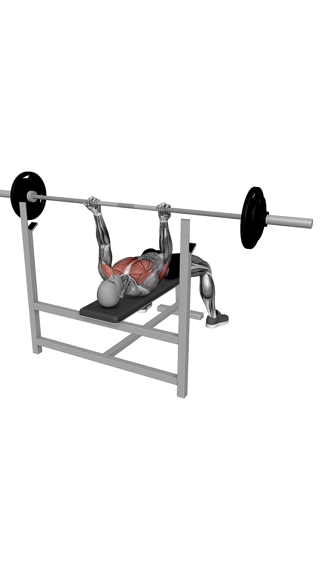 Barbell Reverse Grip Bench Press