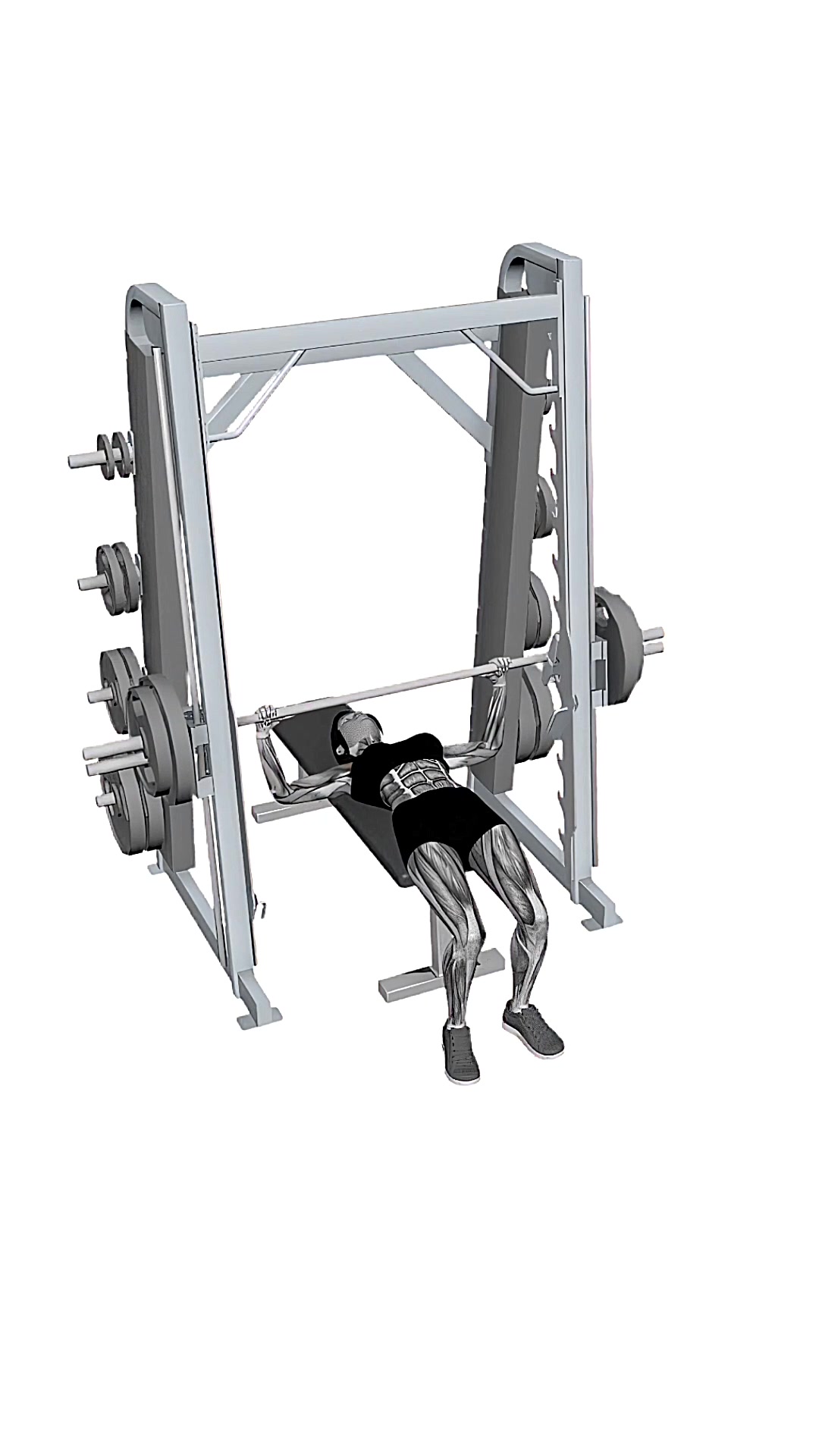 Barbell Smith Chest Press