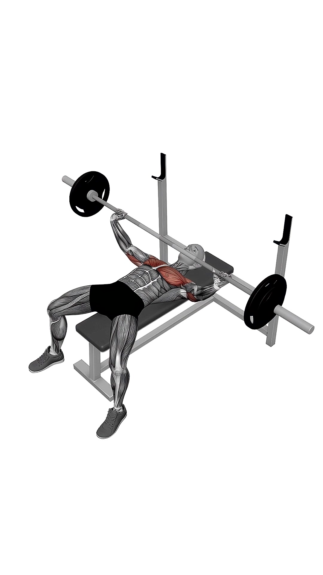 Barbell Wide Bench Press