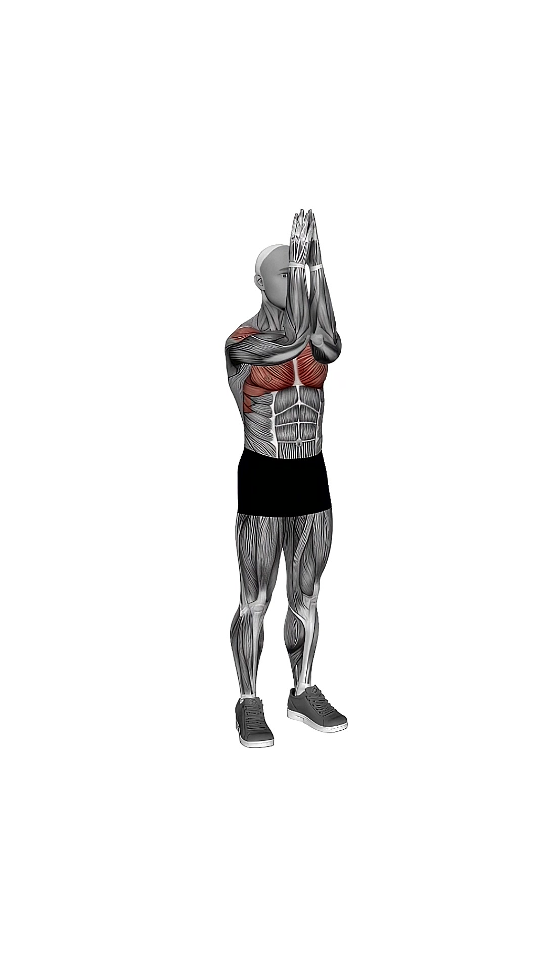 Bodyweight Standing Fly
