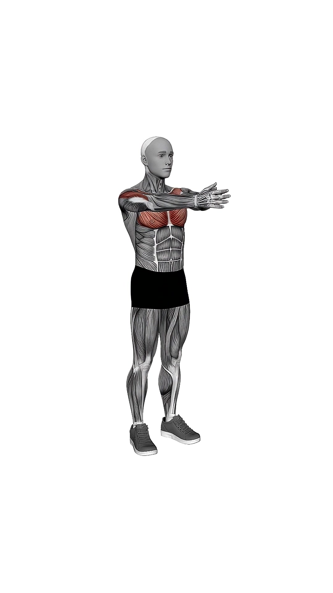 Bodyweight Svend Press