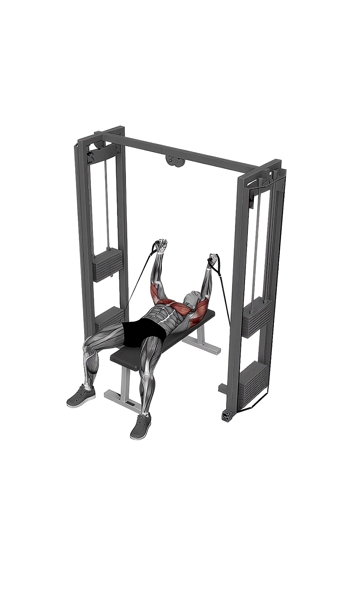 Cable Bench Fly Press
