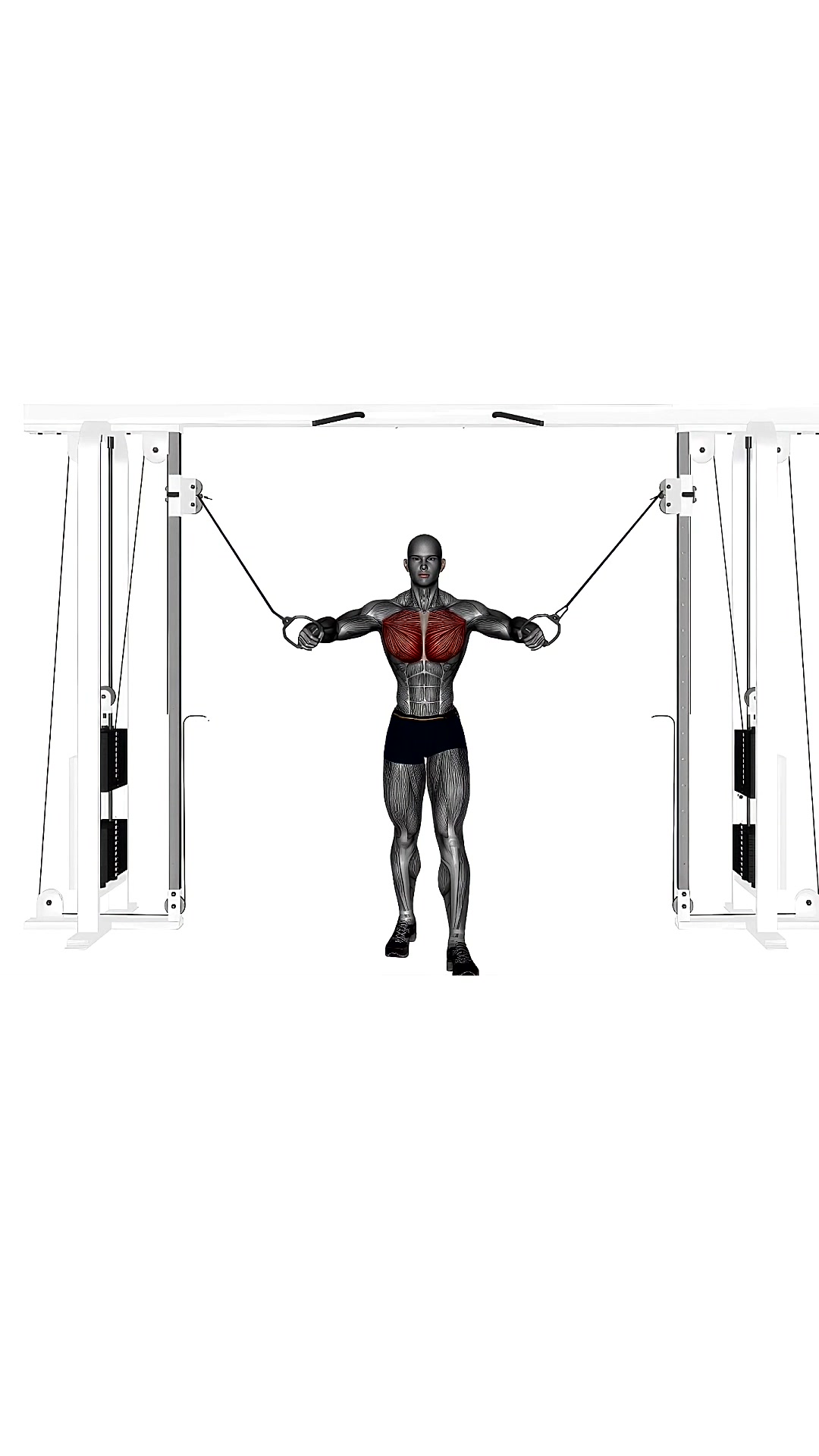 Cable Machine High To Low