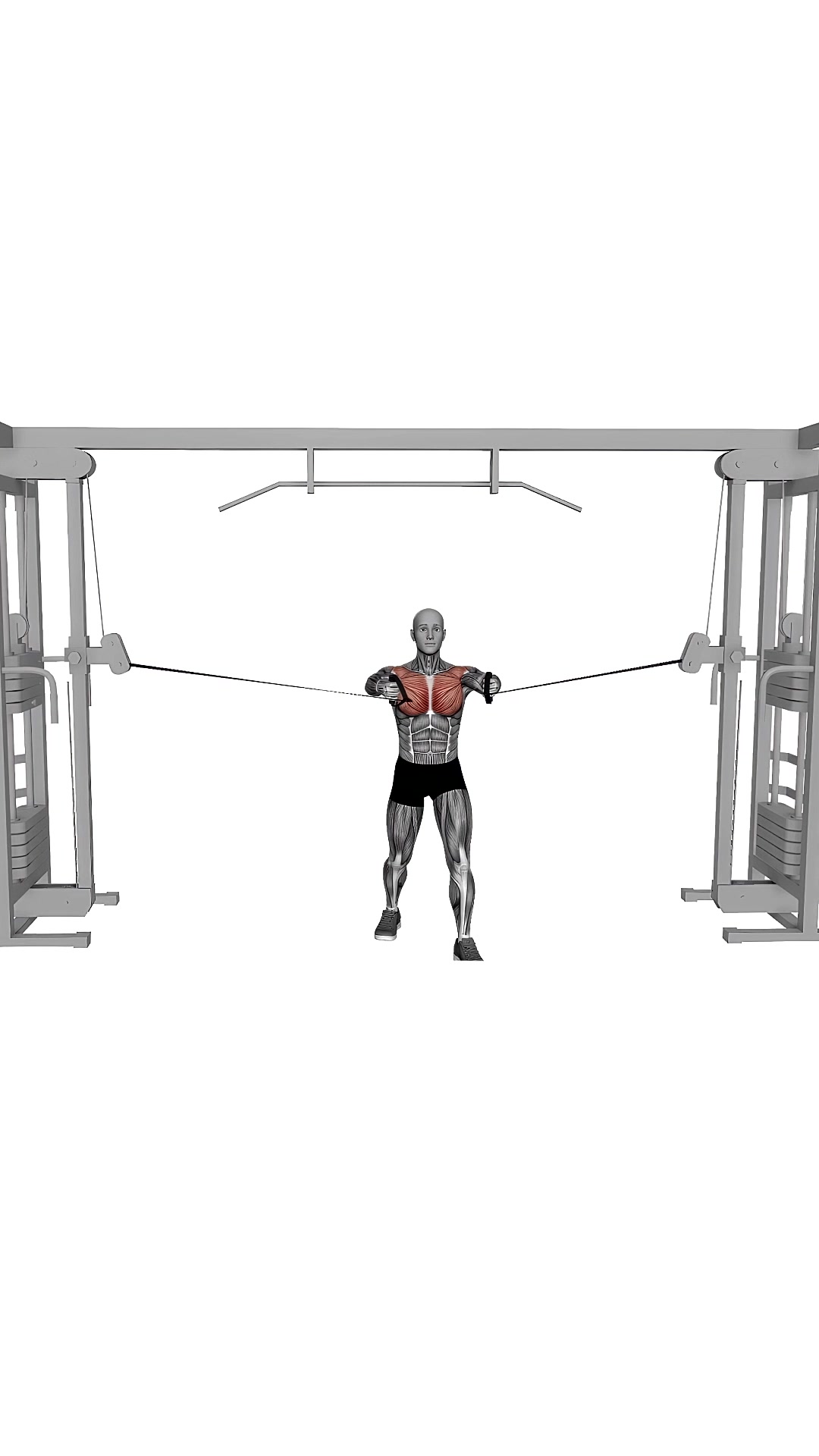Cable Middle Fly