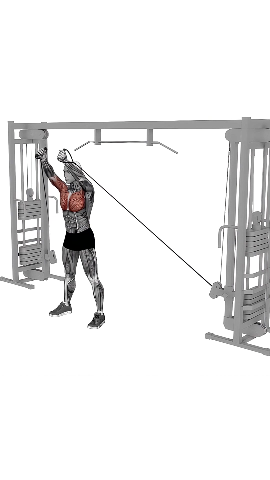 Cable Upper Chest Crossover
