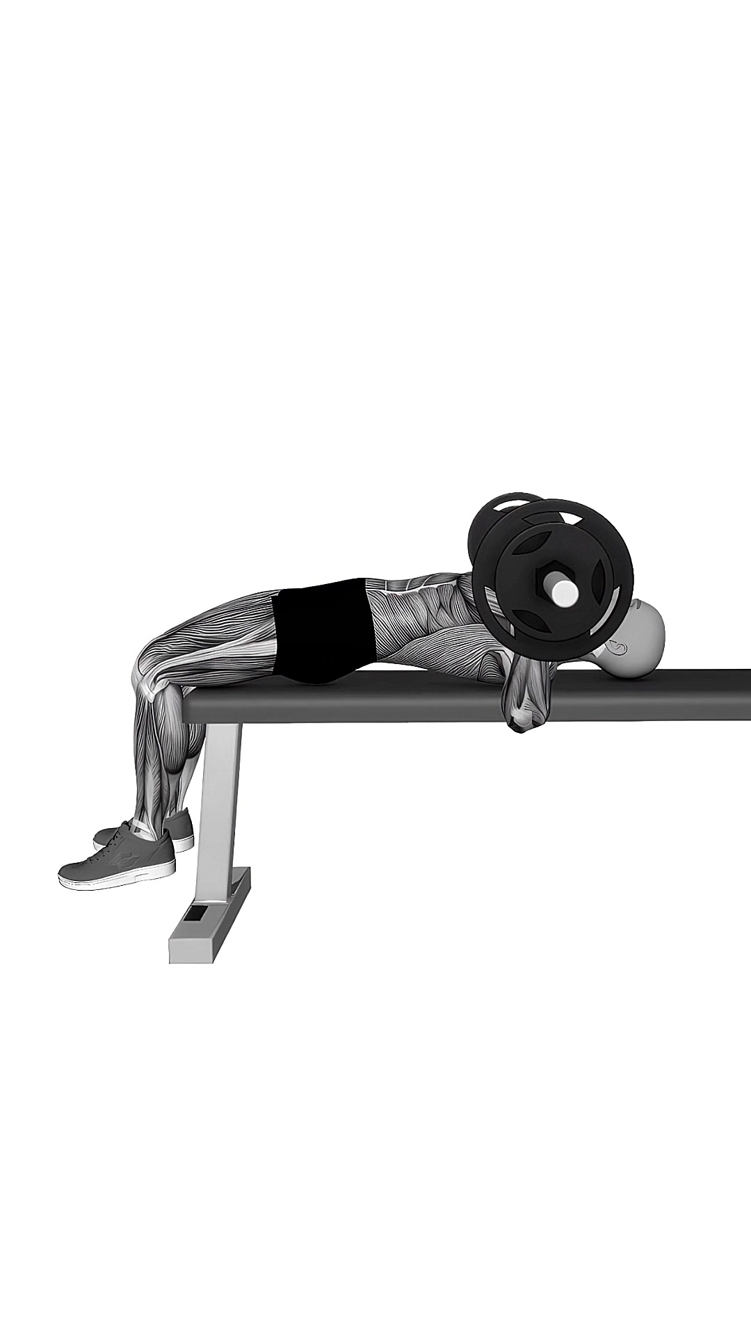 Chest Bench Press Correct Stance