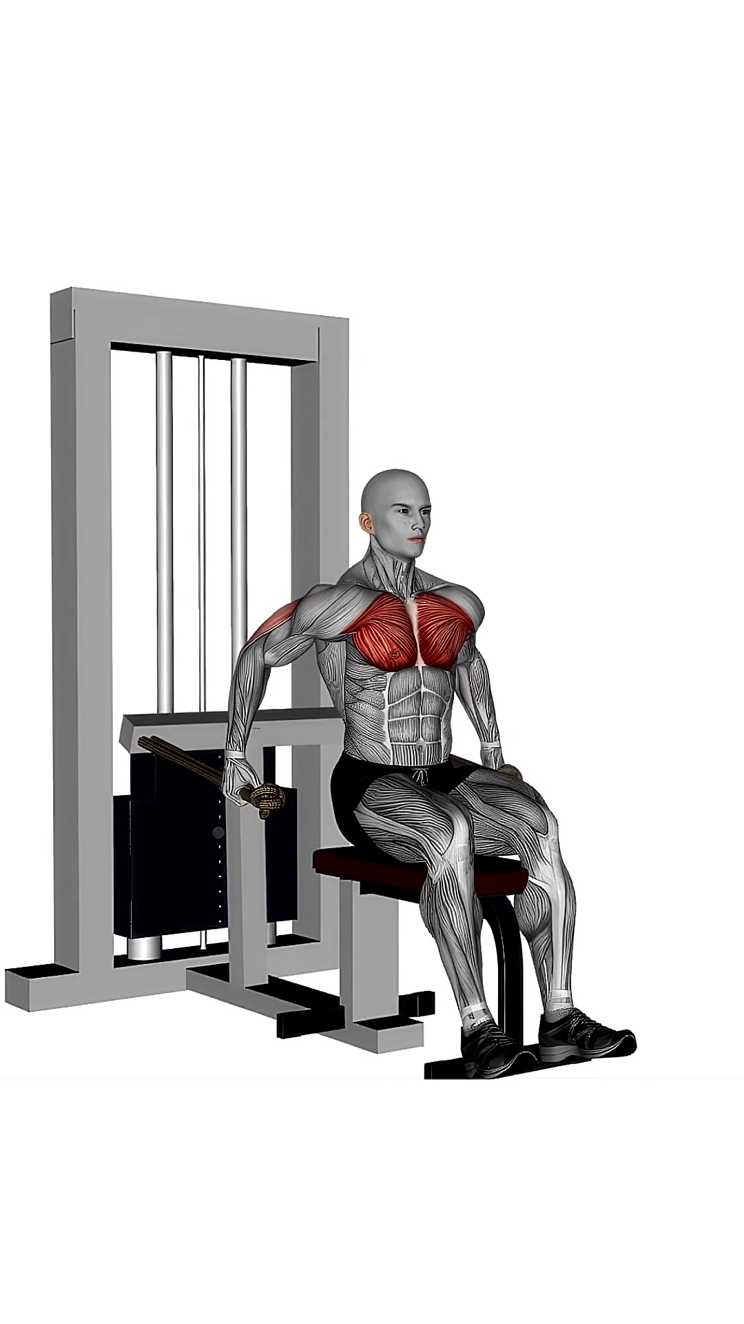 Chest Dip Machine