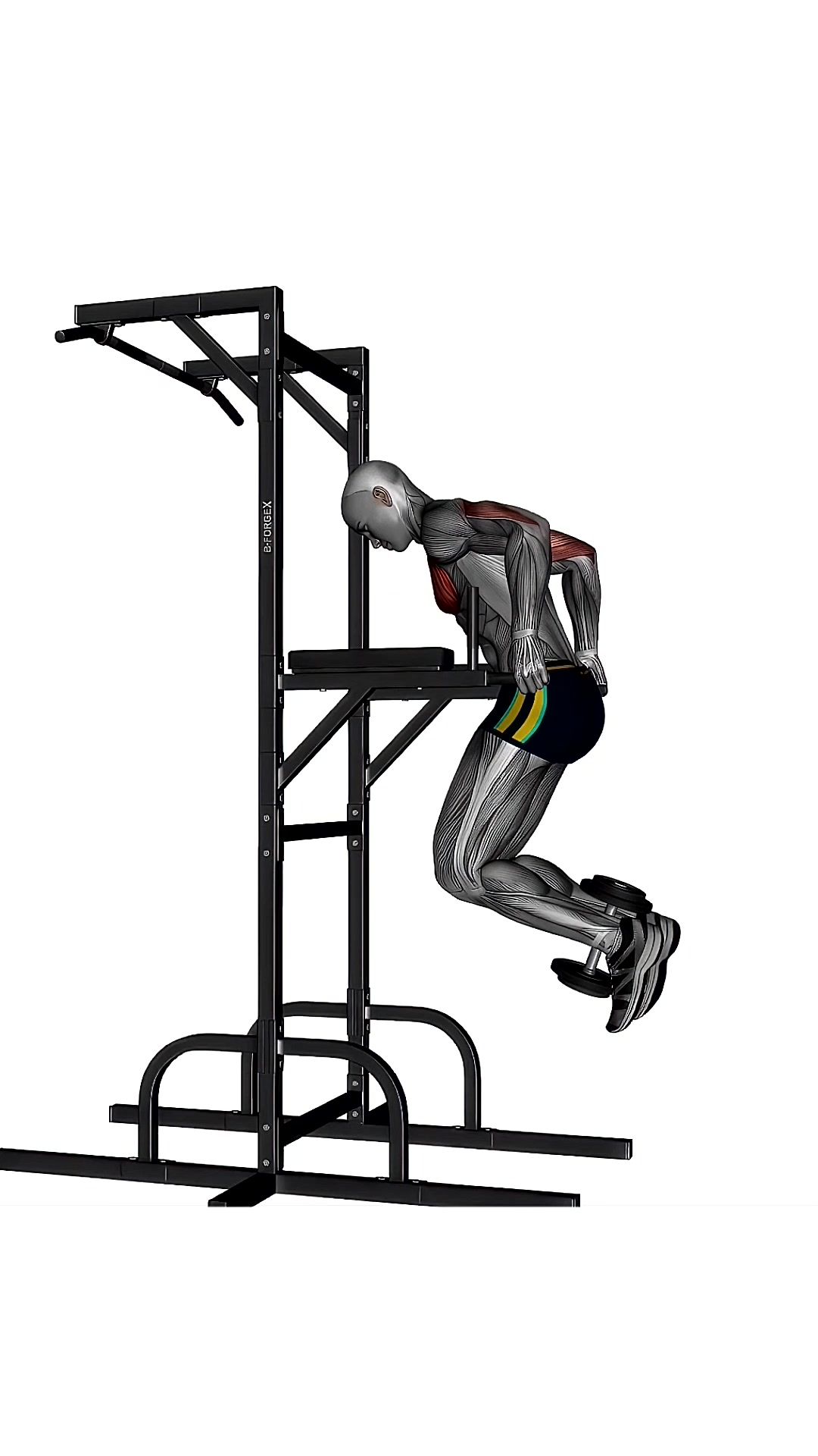 Chest Dip Weighted Slow