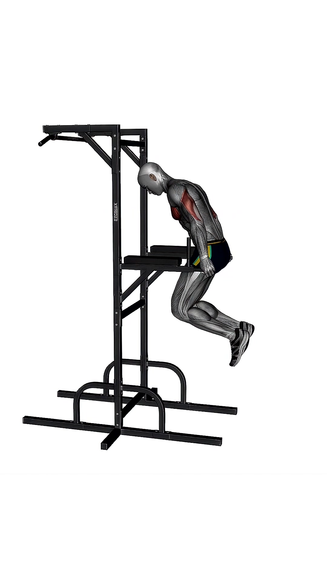 Chest Dip With Pause Bodyweight