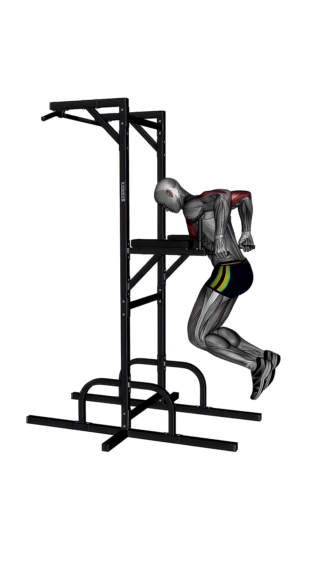 Chest Dip
