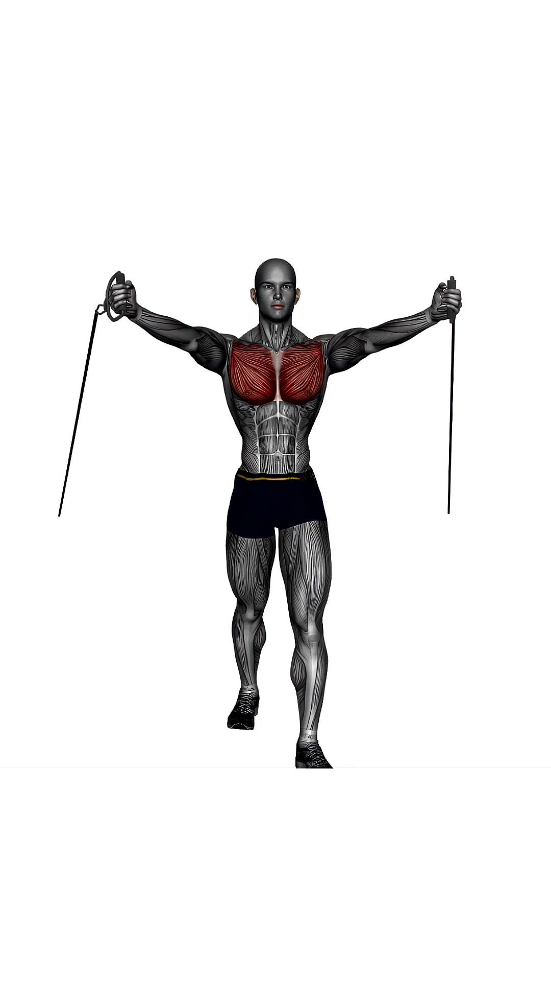 Chest Fly Low To High Resistance Band