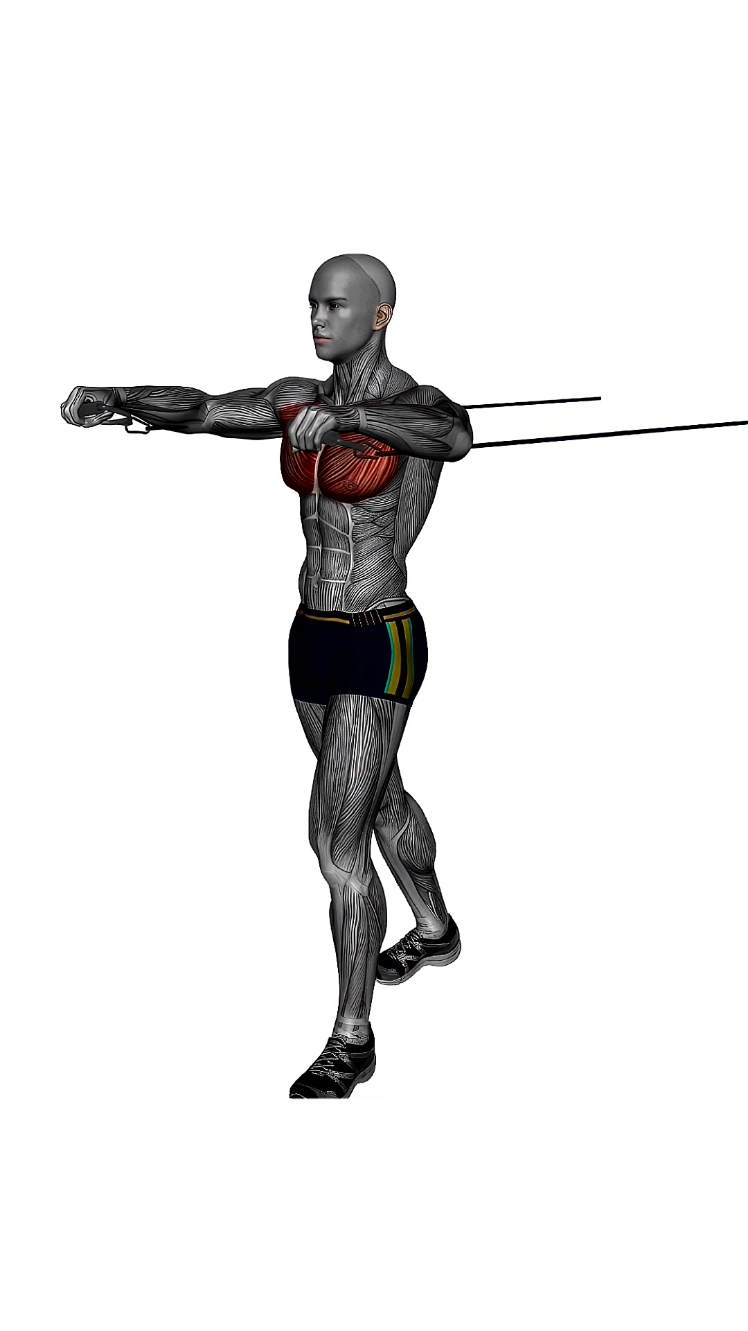 Chest Press Front Resistance Band