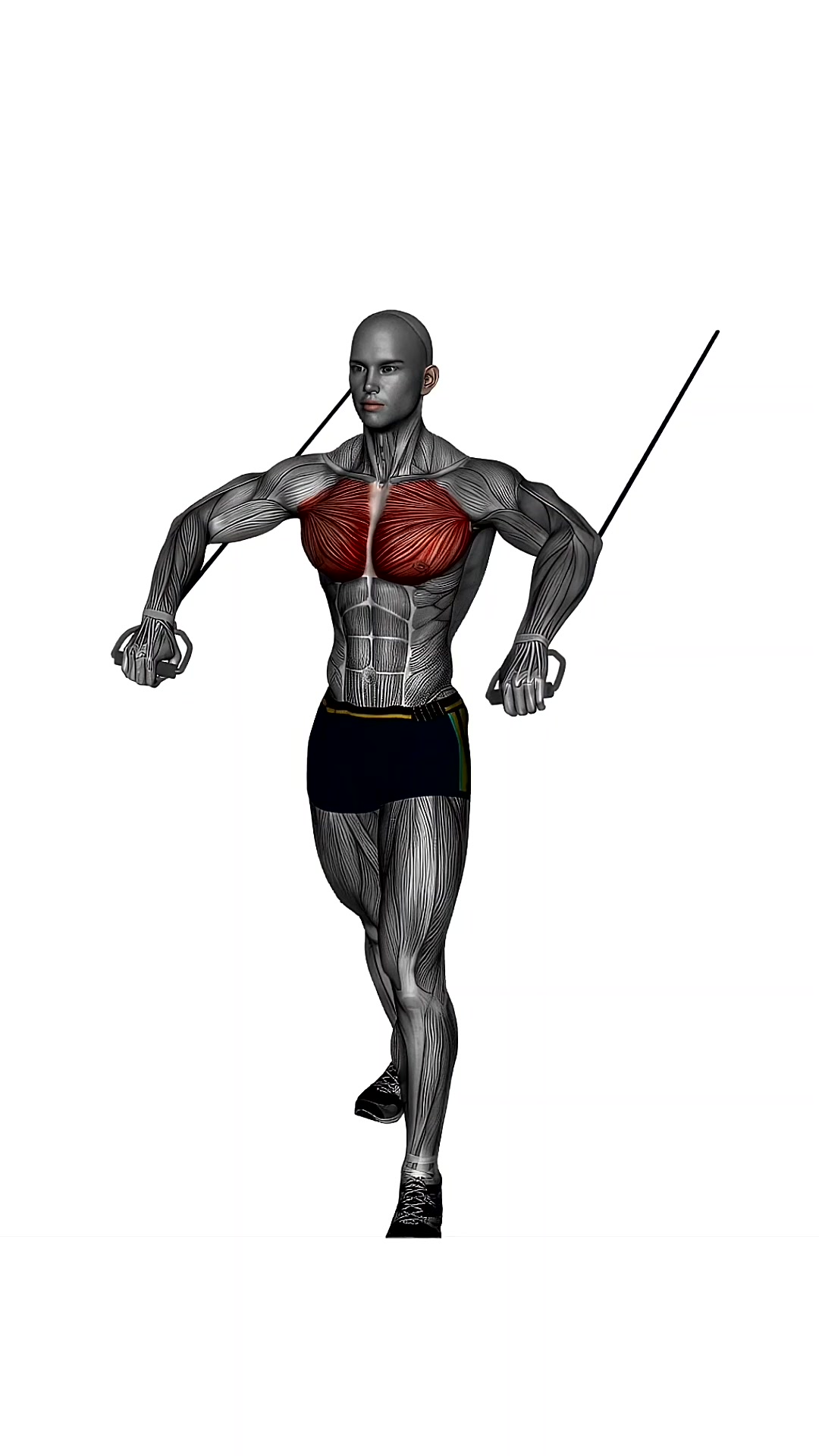 Chest Press High To Low Cable Resistance Band