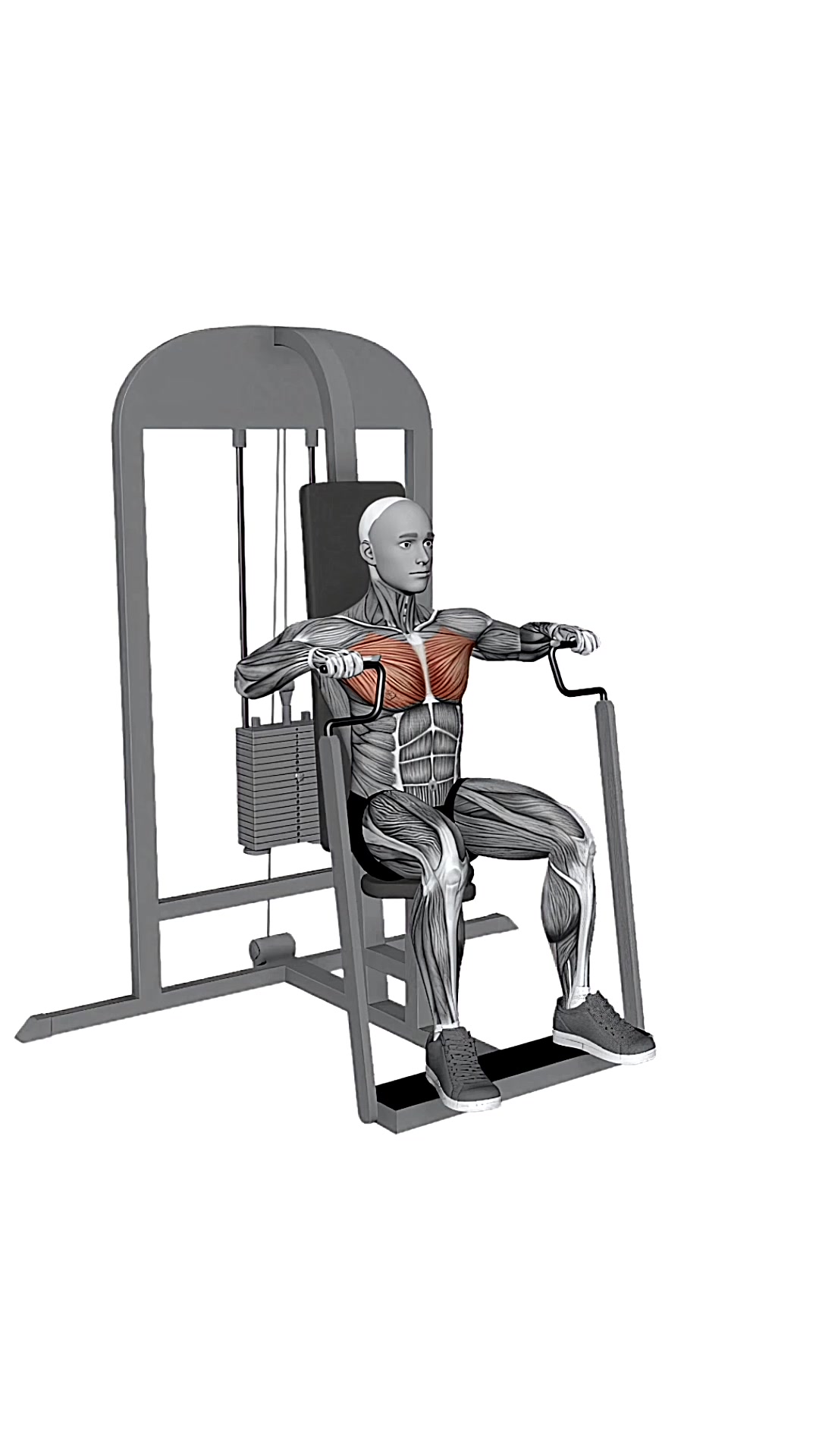 Chest Press Machine
