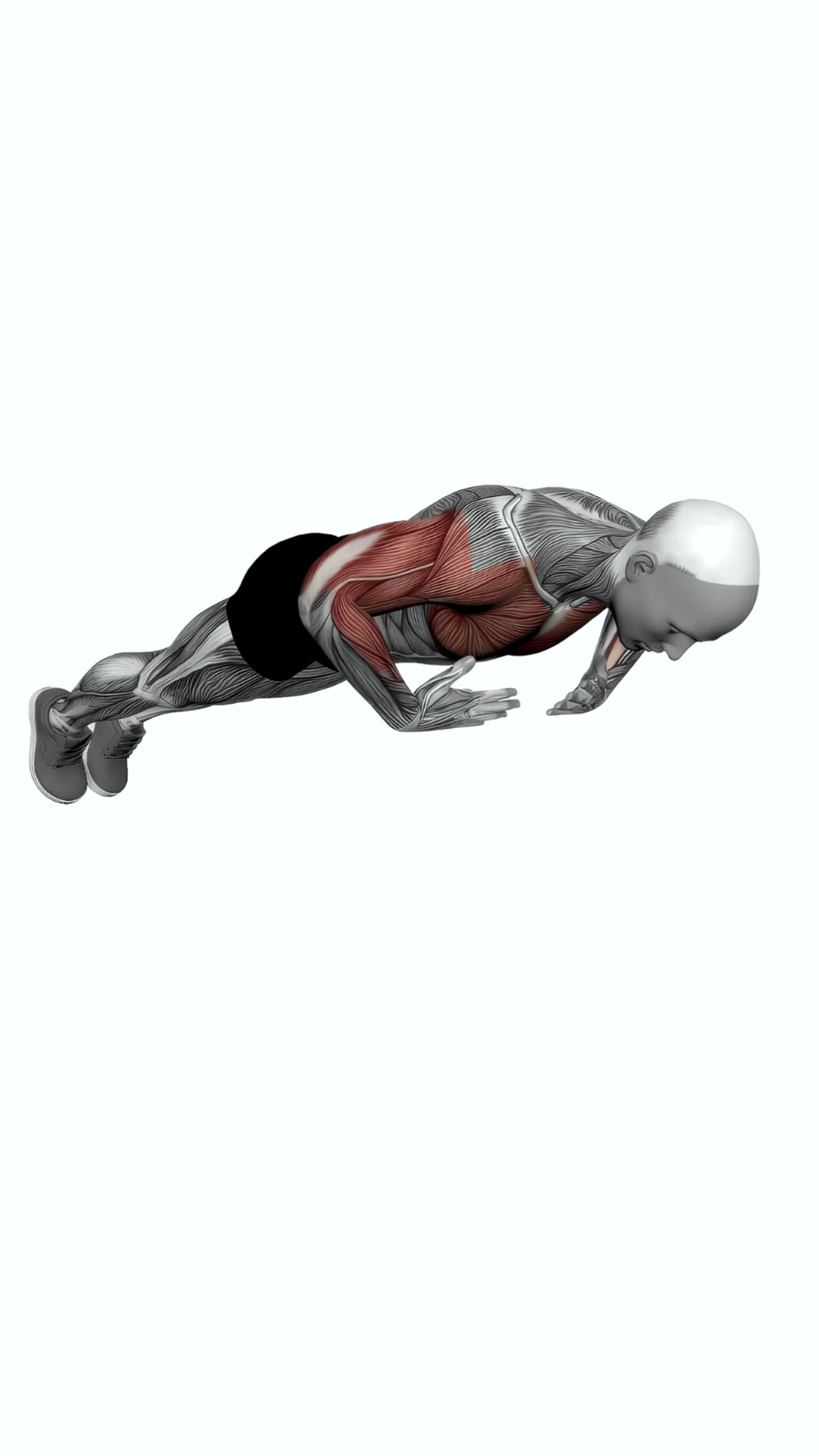 Chest Tap Push Up