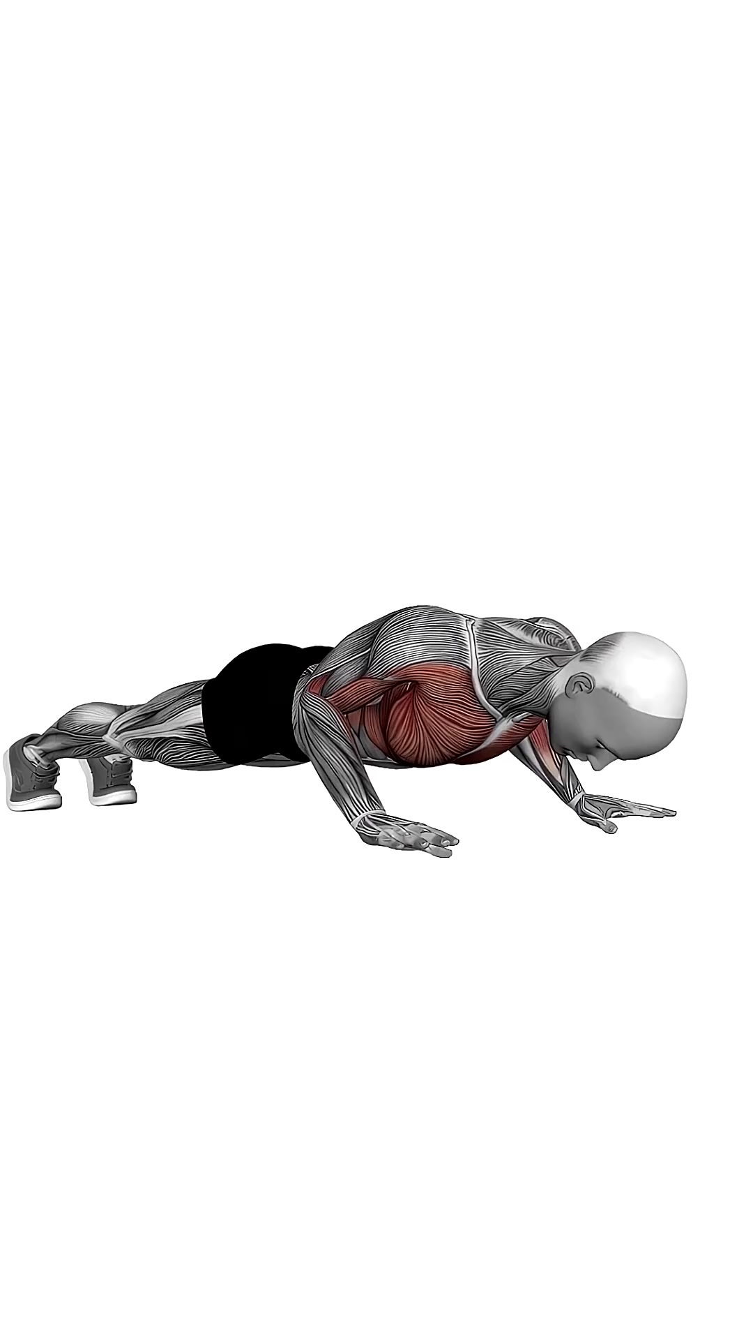 Clap Push Ups