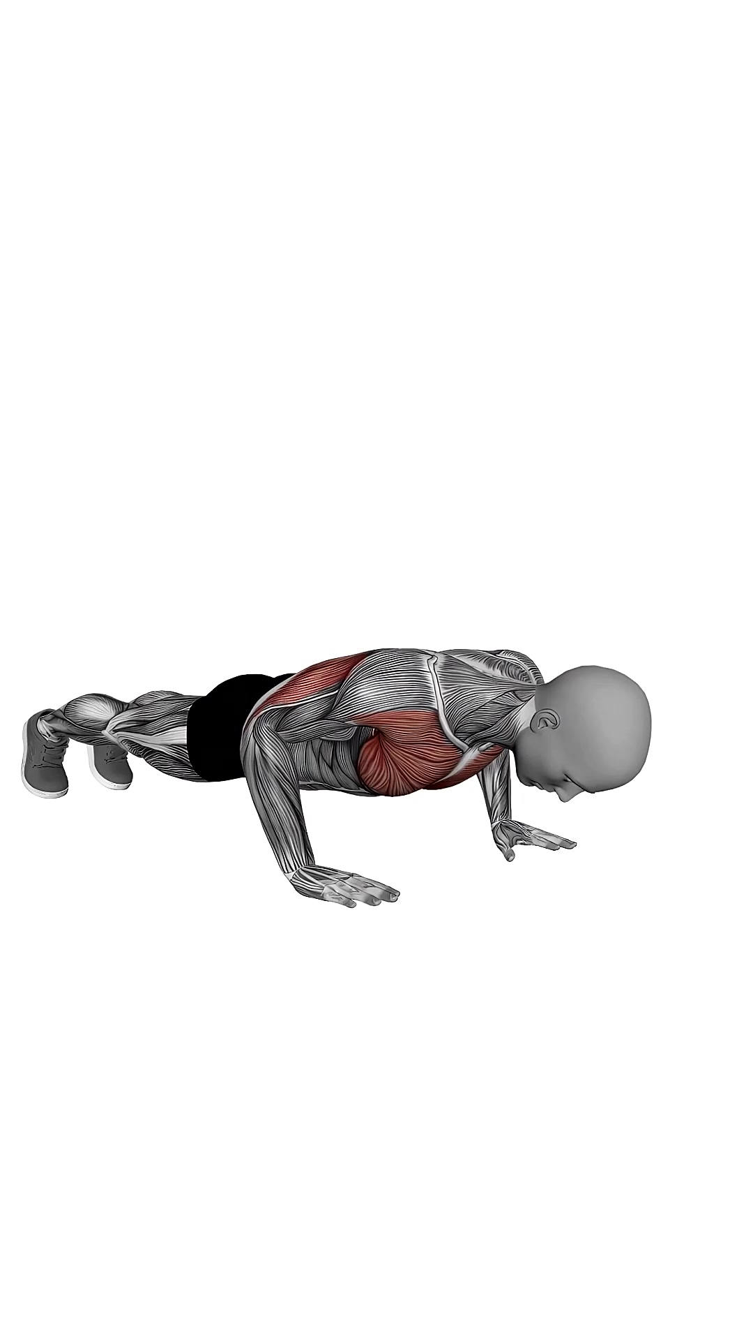 Clock Push Ups