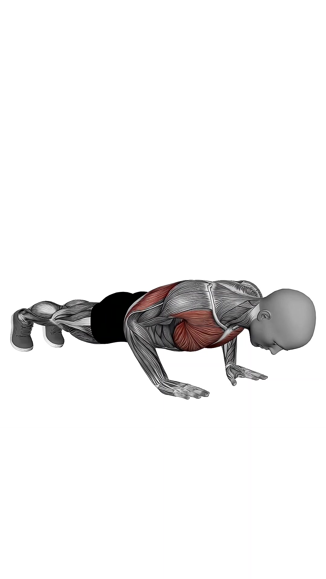 Close Grip Push Up