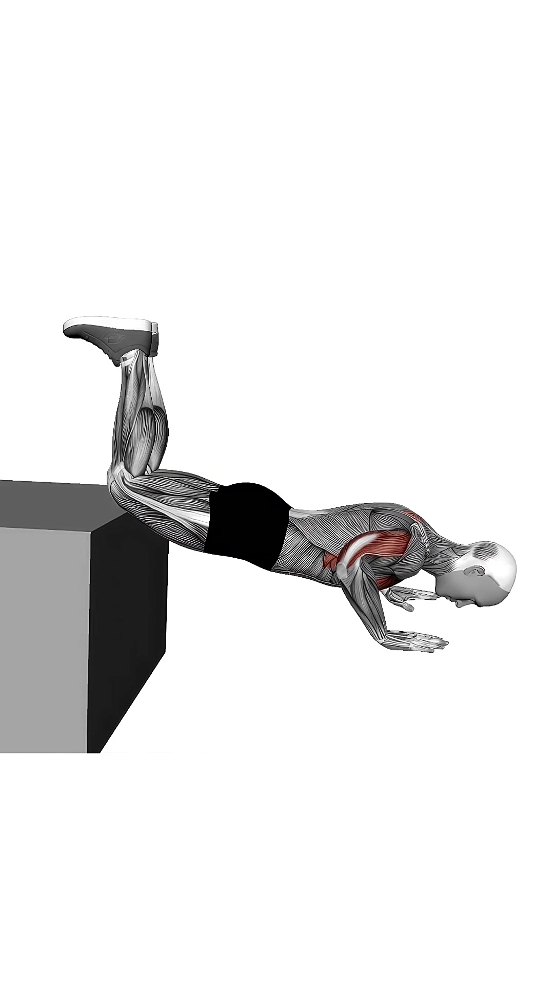 Decline Kneeling Push Up On Box