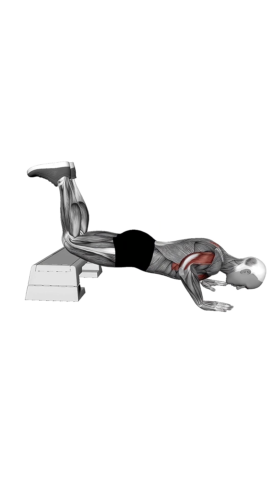 Decline Kneeling Push Up