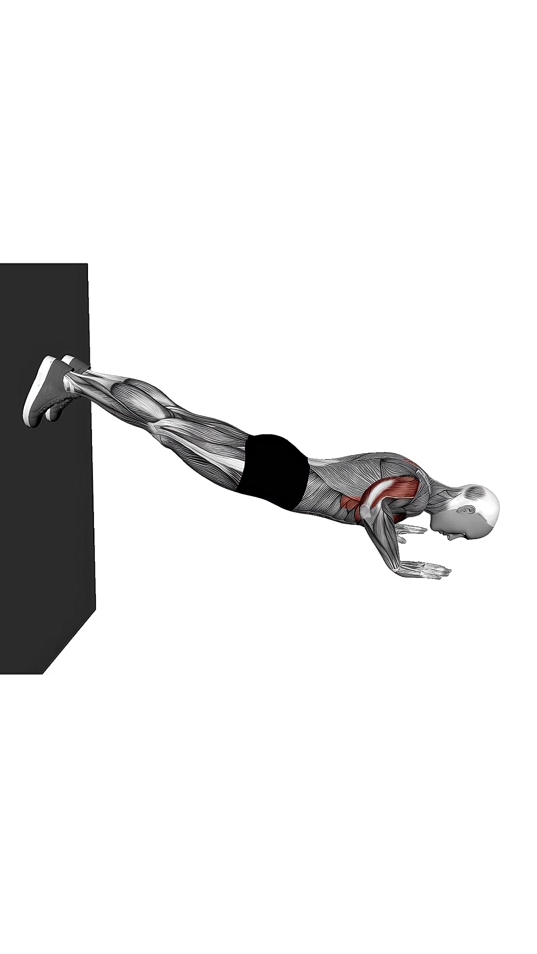 Decline Push Up Against Wall