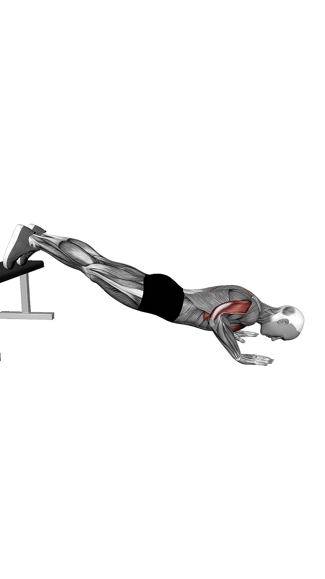 Decline Push Up