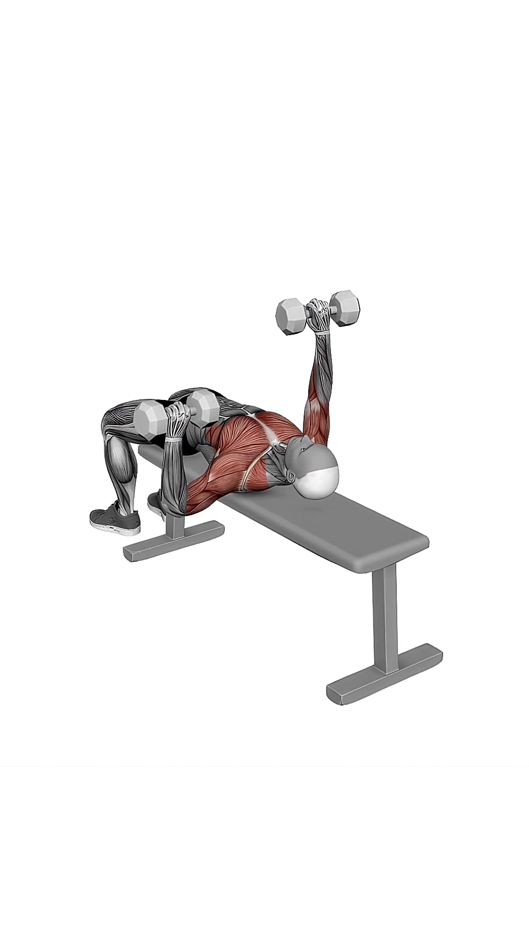 Dumbbell Alternate Bench Press (high Start)