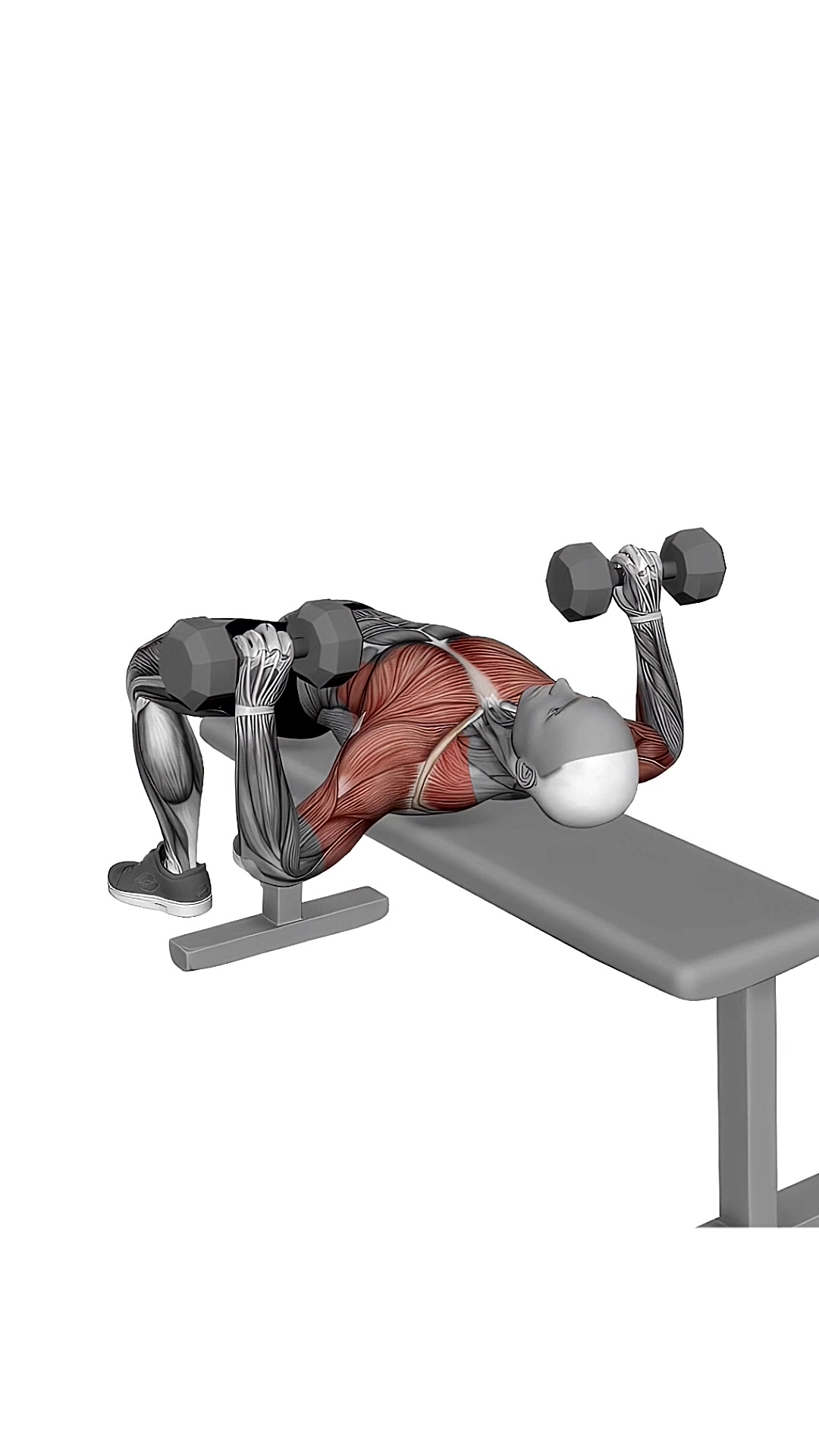 Dumbbell Bench Press