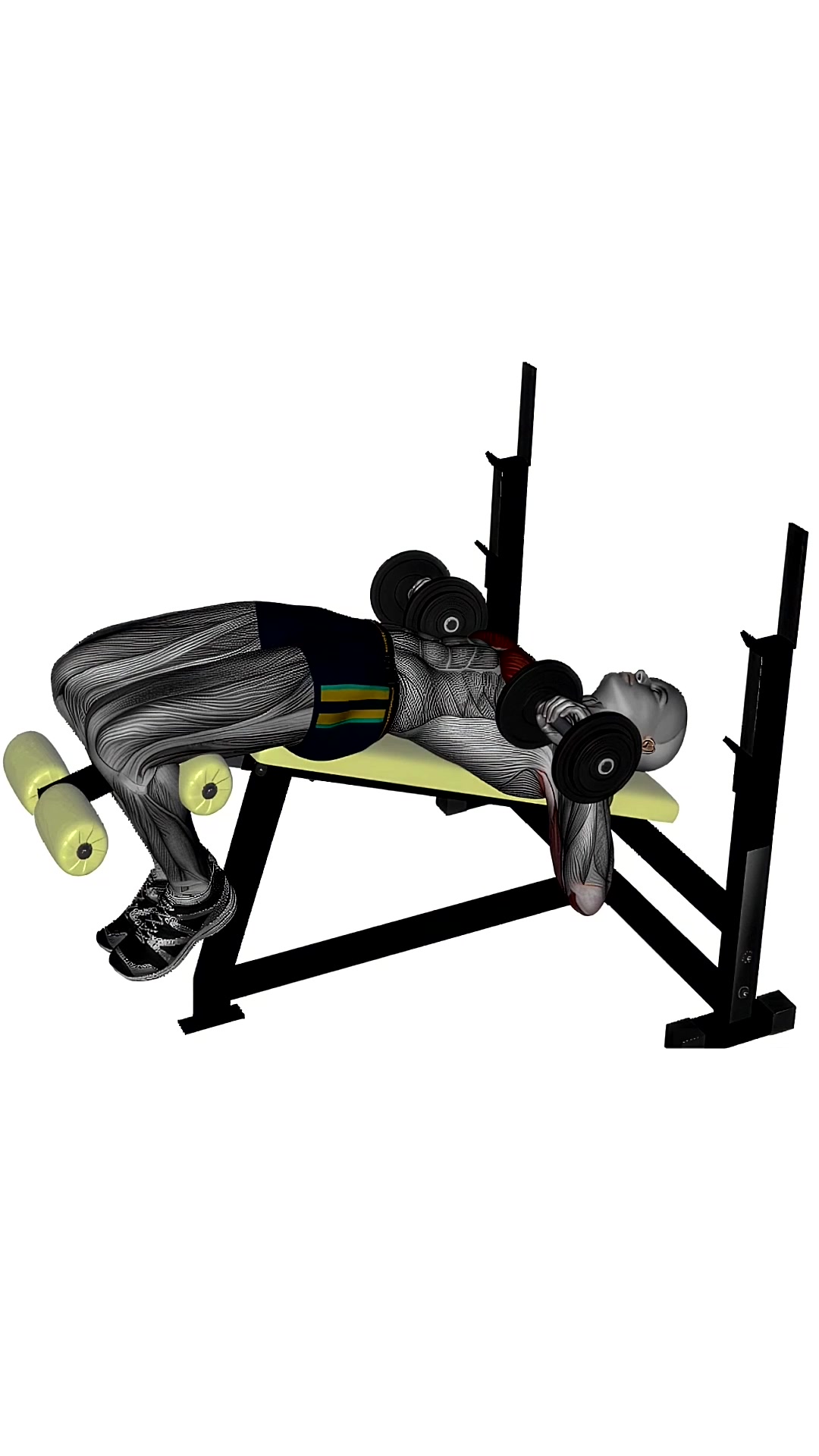 Dumbbell Chest Press Decline