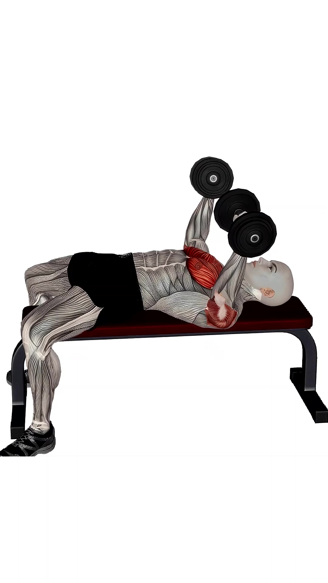 Dumbbell Chest Press Flat