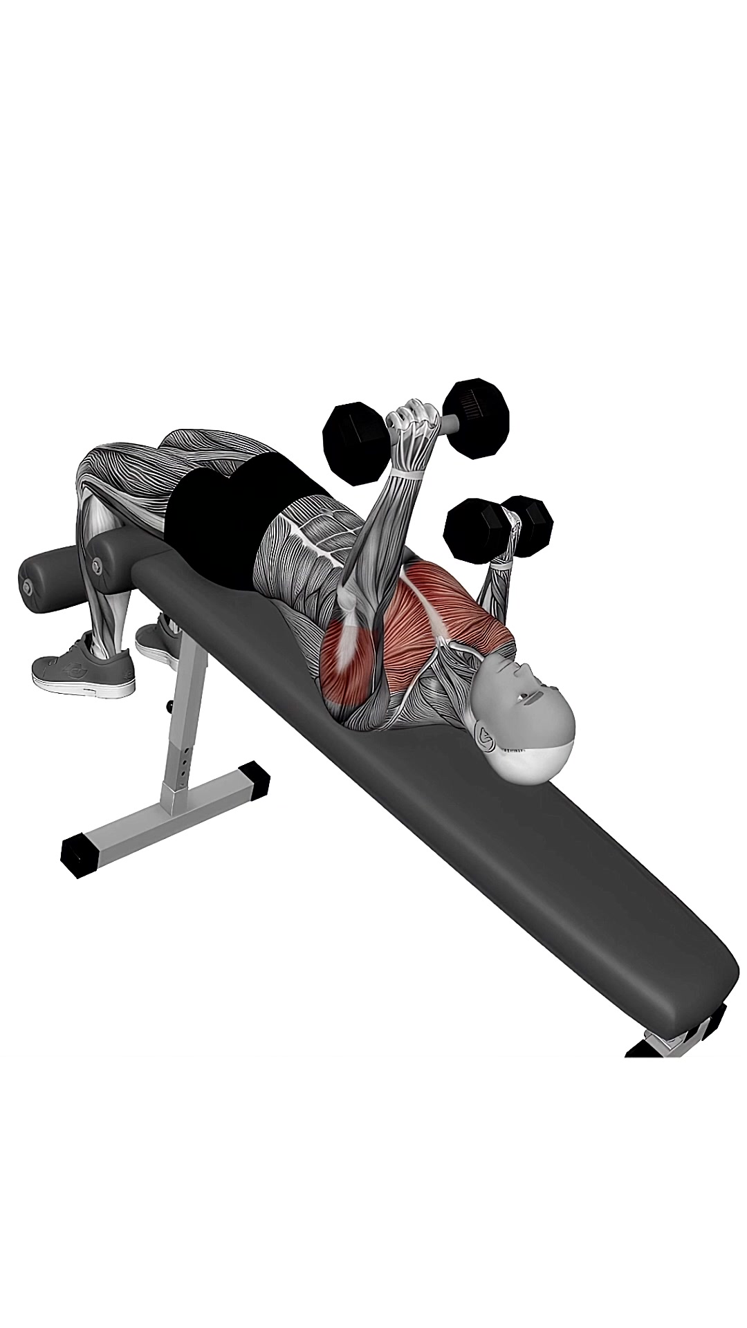 Dumbbell Decline Alternate Bench Press