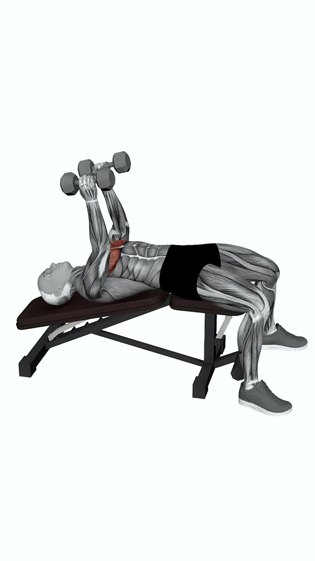 Dumbbell Decline Close Neutral Grip Press