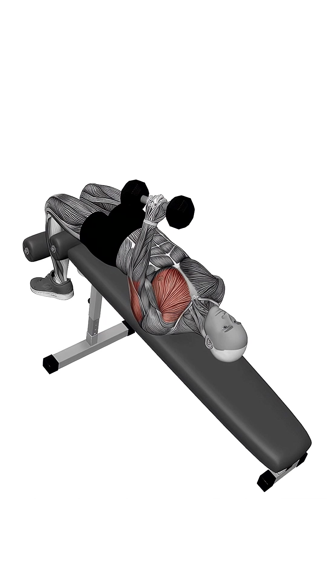 Dumbbell Decline One Arm Hammer Press