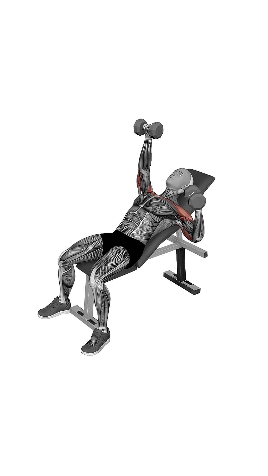Dumbbell Incline Alternate Press
