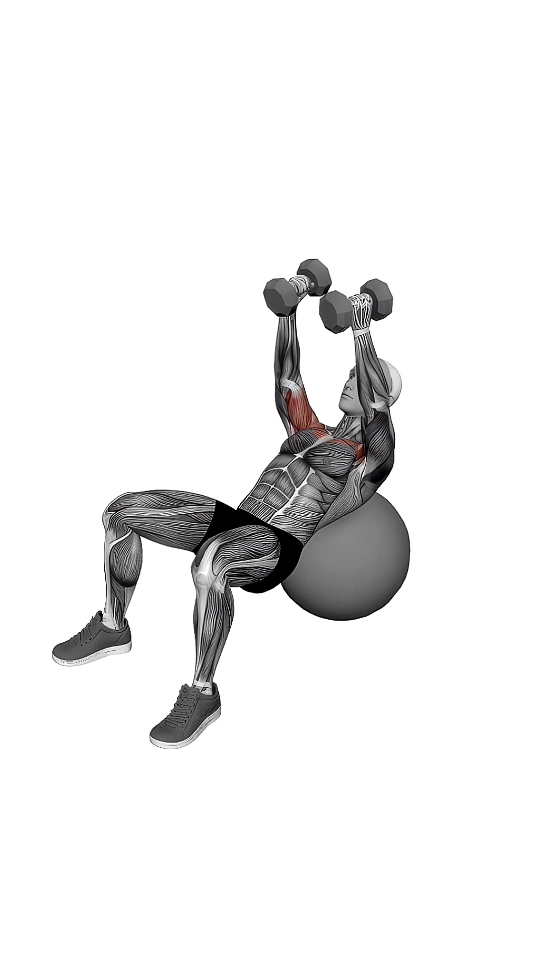 Dumbbell Incline Fly On Exercise Ball