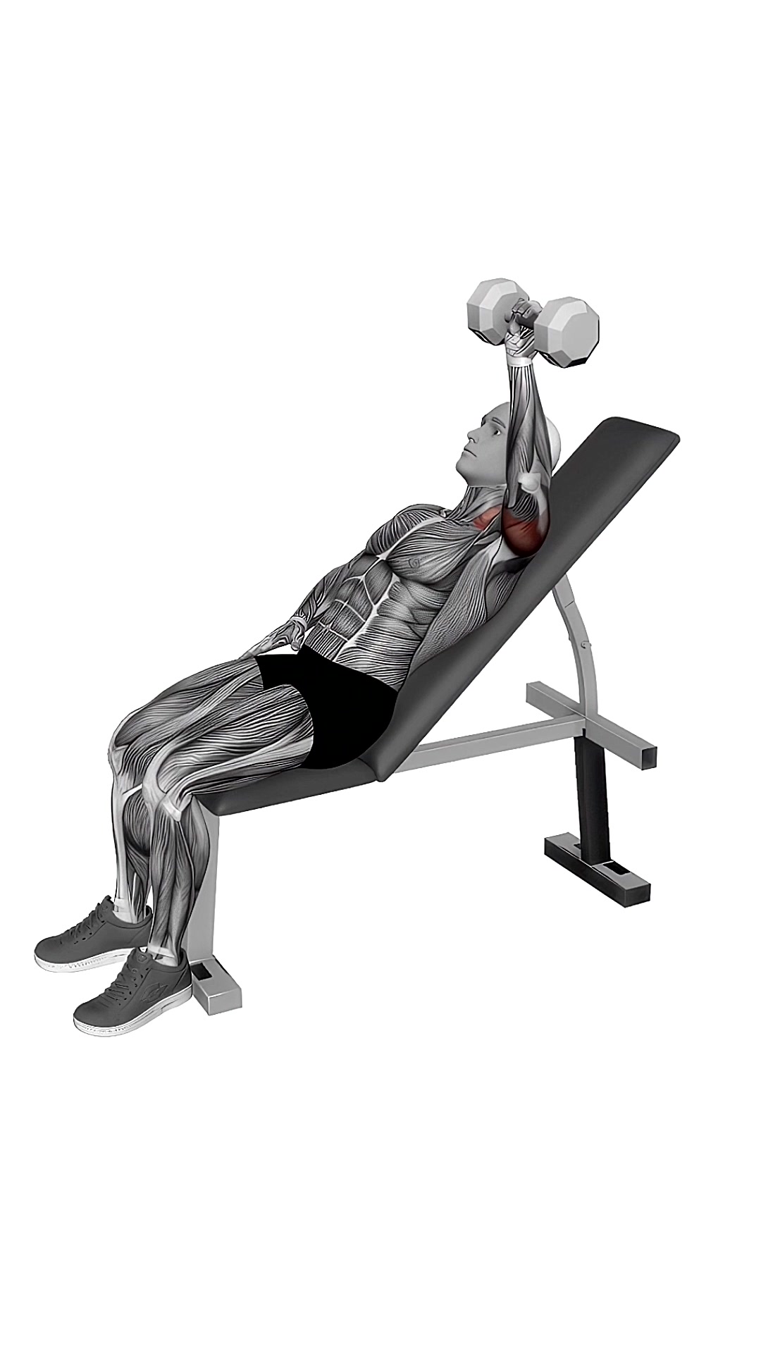 Dumbbell Incline One Arm Press