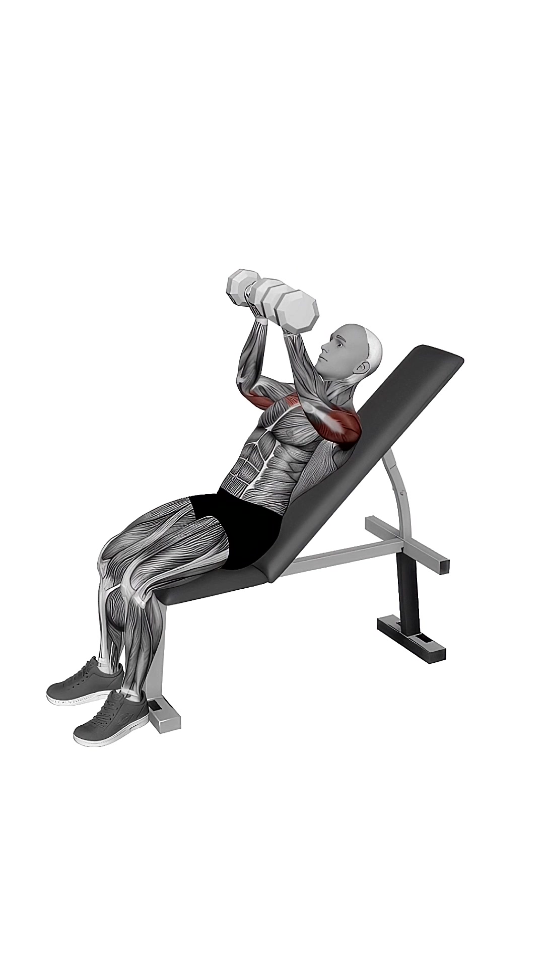 Dumbbell Incline Palms-back Press