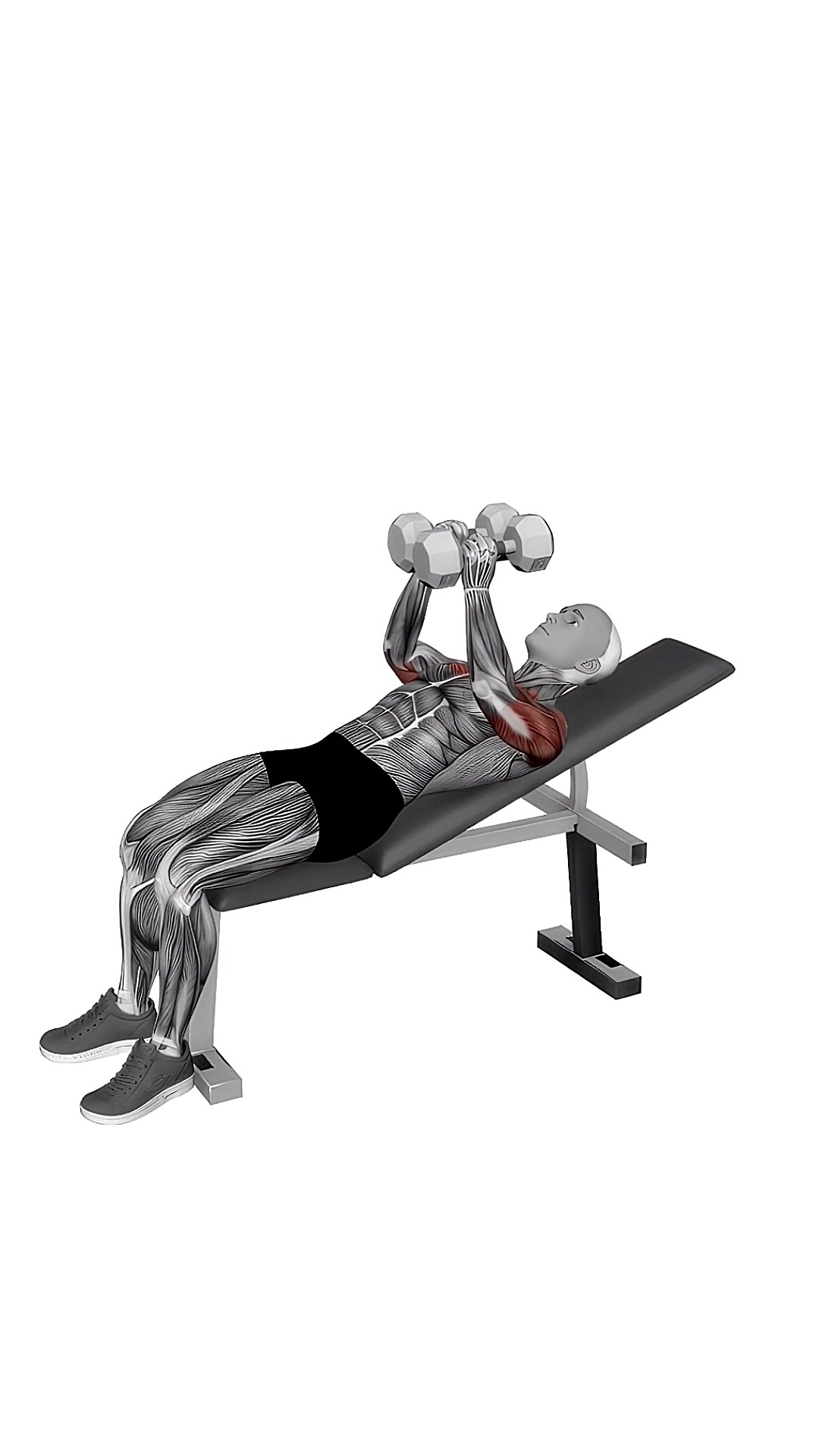 Dumbbell Incline Squeeze Press