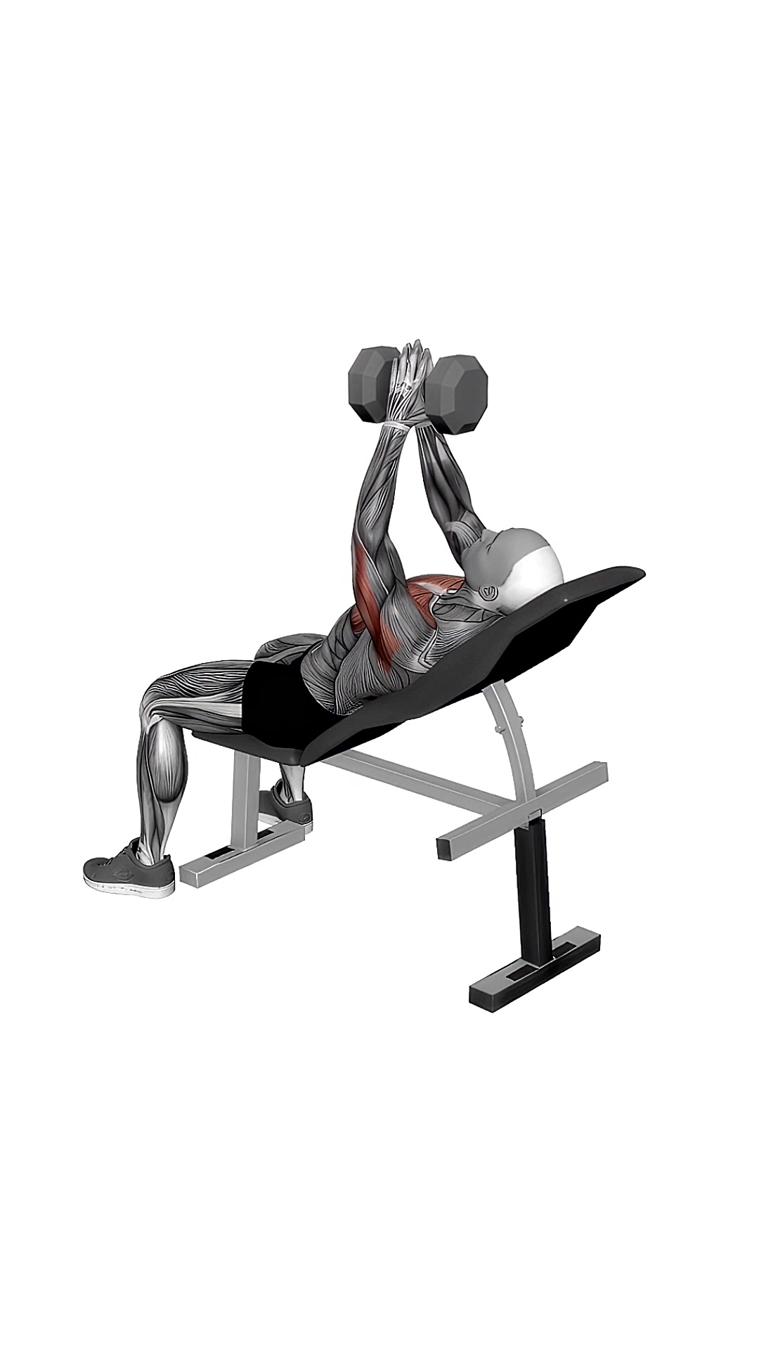 Dumbbell Incline Svend Close Grip Press