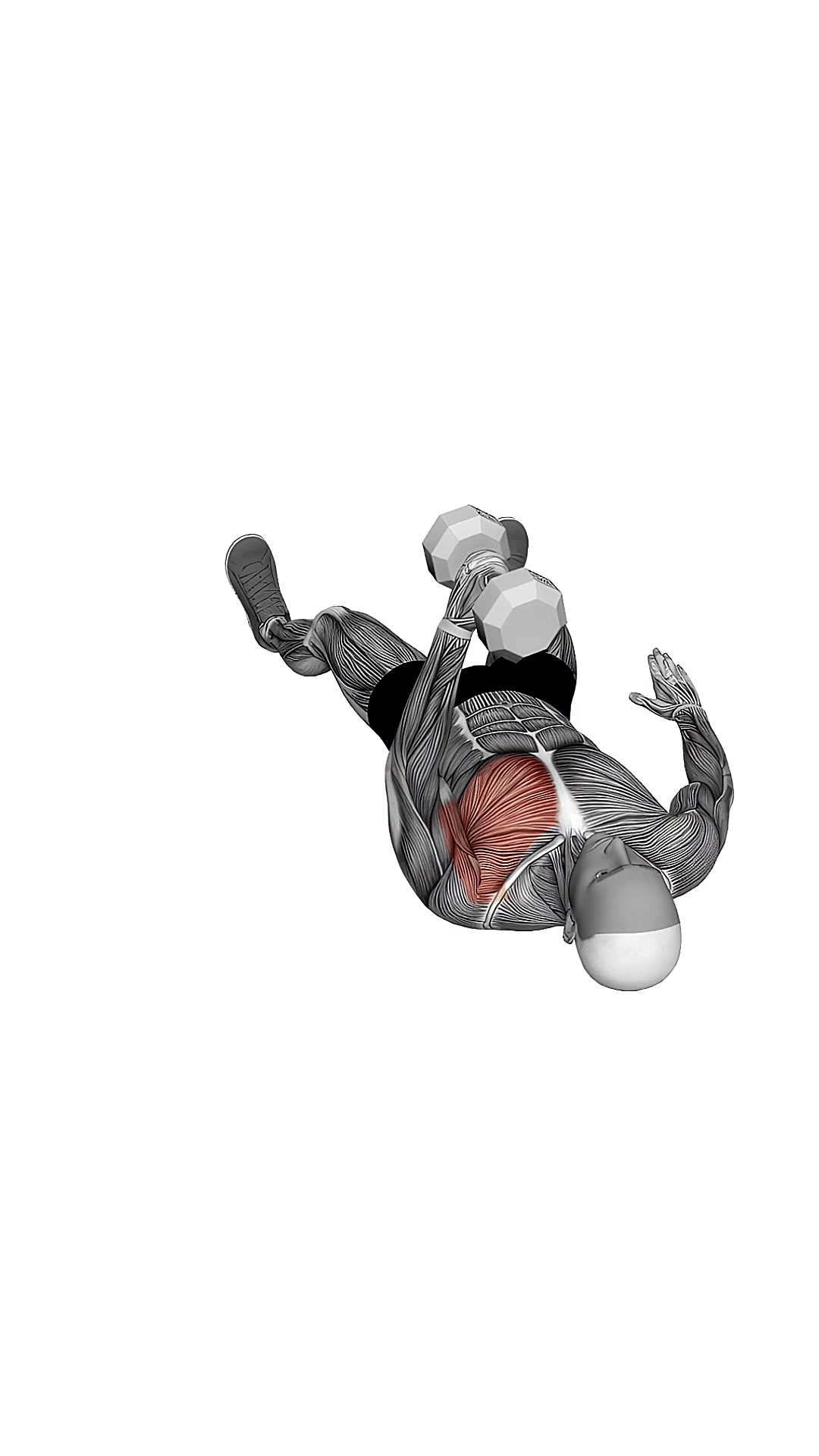 Dumbbell One Arm Floor Fly