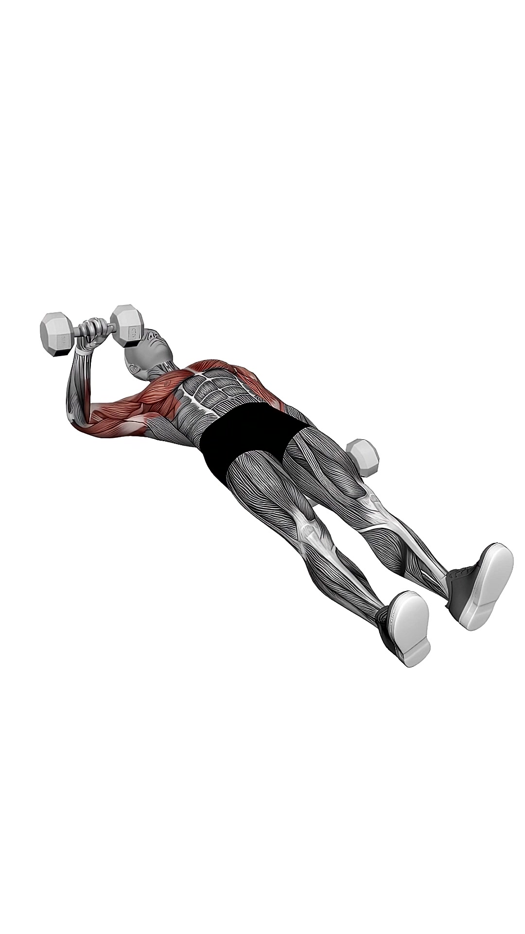 Dumbbell One Arm Floor Press